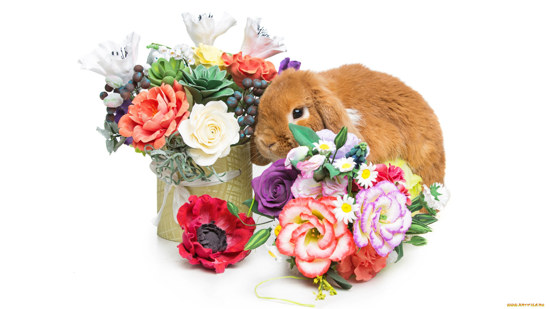 животные, кролики, , зайцы, цветы, flowers, spring, eggs, кролик, happy, rabbit