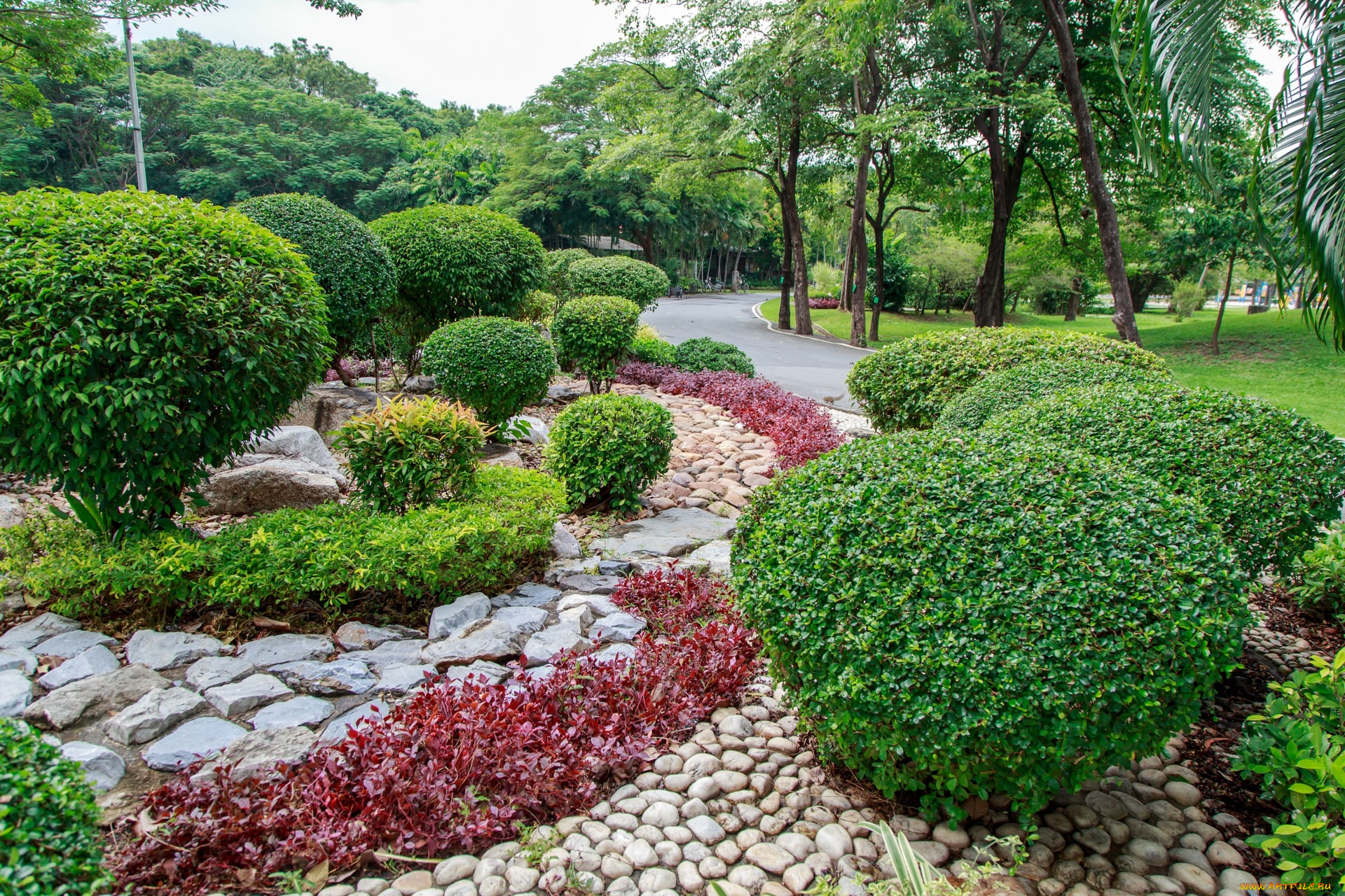 таиланд, природа, парк, деревья, кустарники, камни, растения