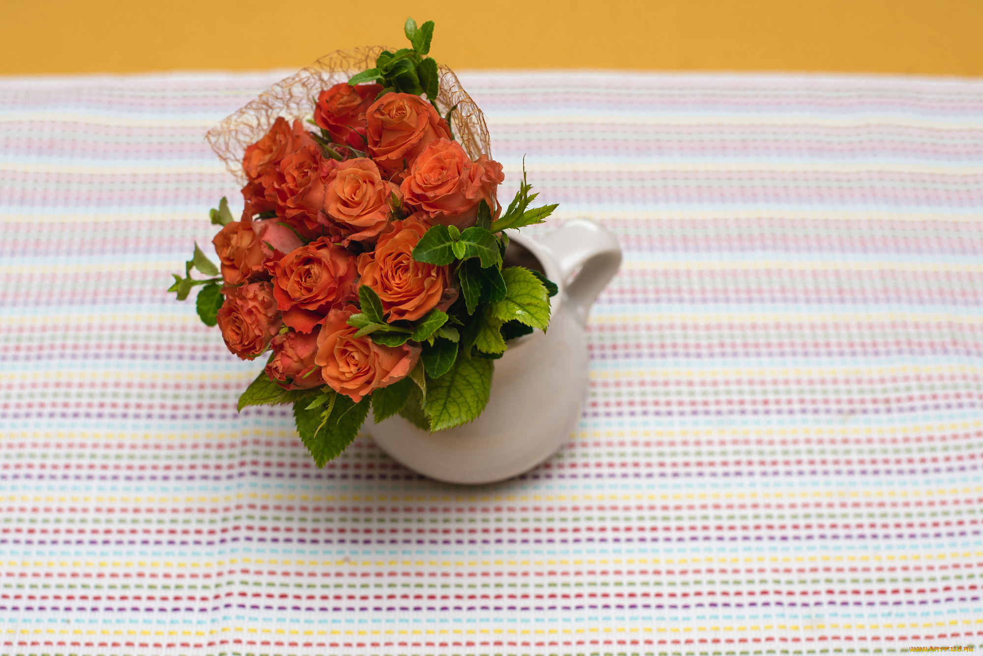 цветы, розы, petals, blossoms, leaves, цветение, листья, лепестки, бутон, роза, bud, rose