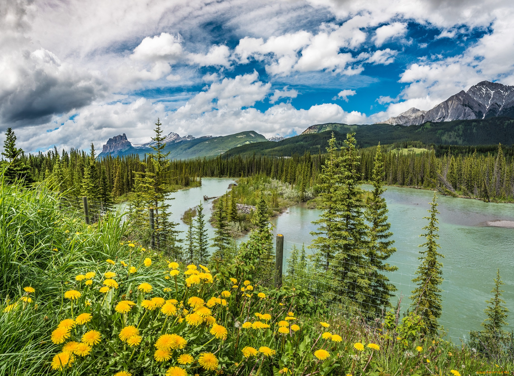 природа, реки, озера, горы, лес, река