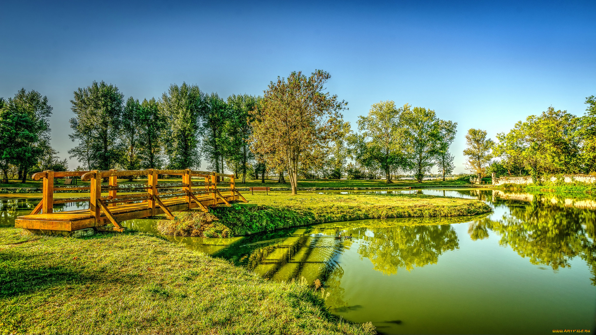 природа, реки, озера, река, лес