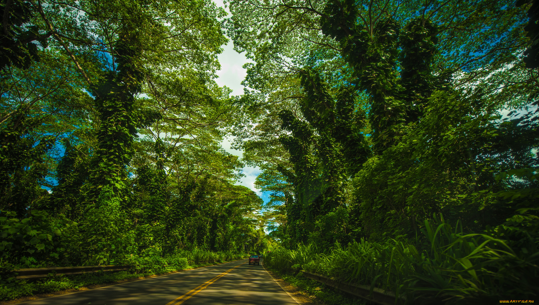 природа, дороги, шоссе