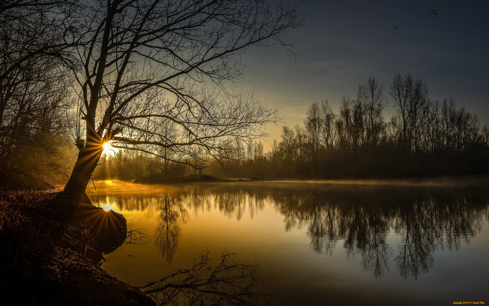 природа, реки, озера, река, лес