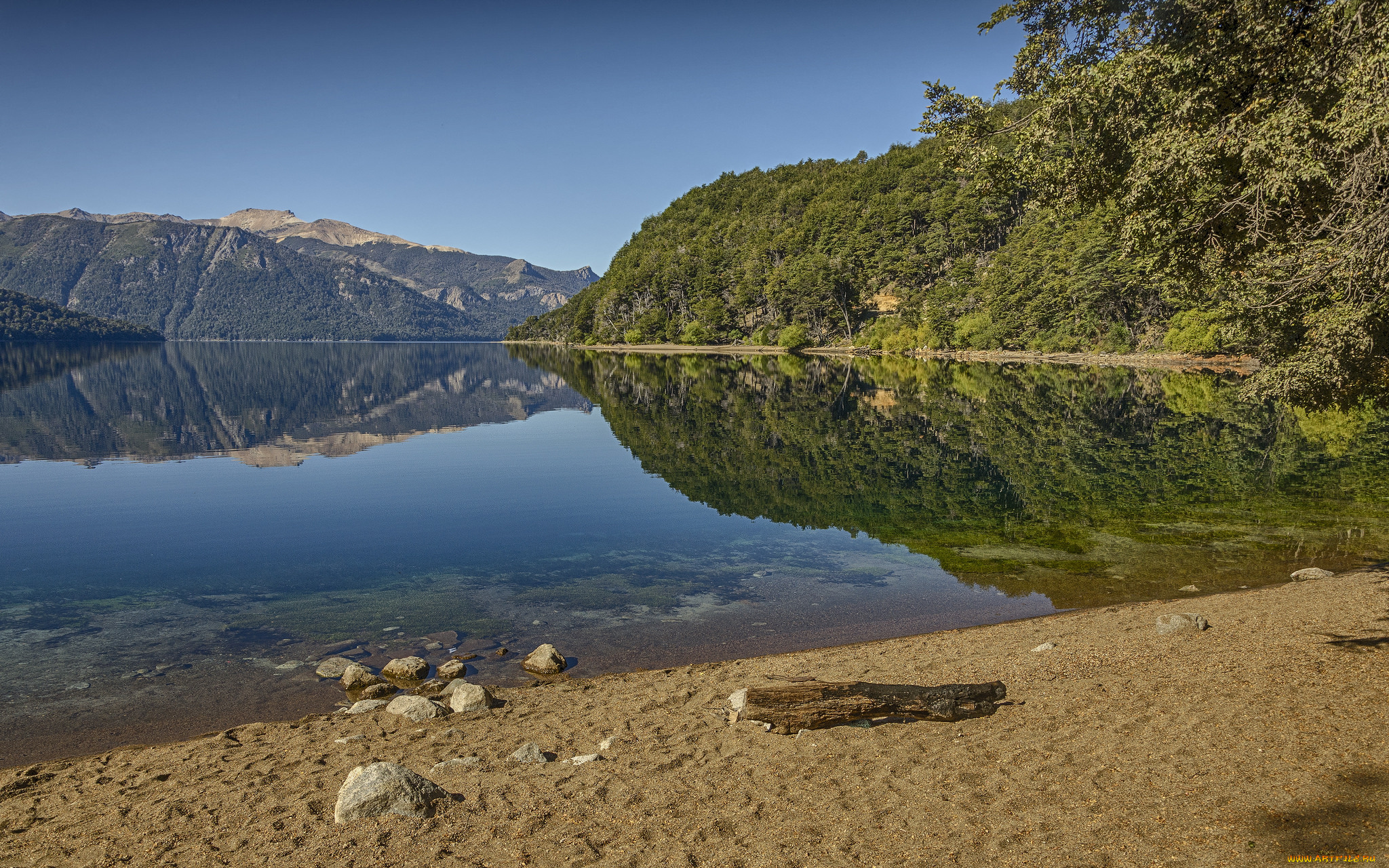 природа, реки, озера, река, лес