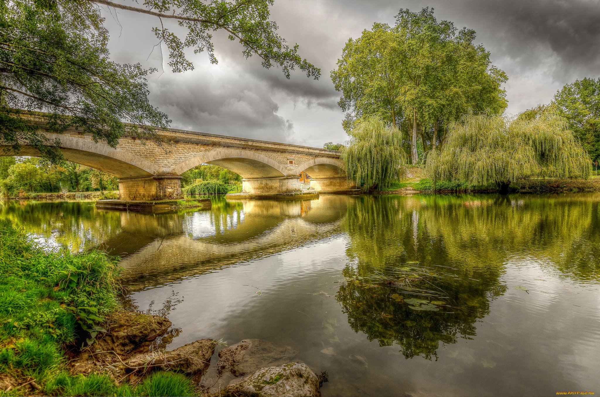 природа, реки, озера, лес, река