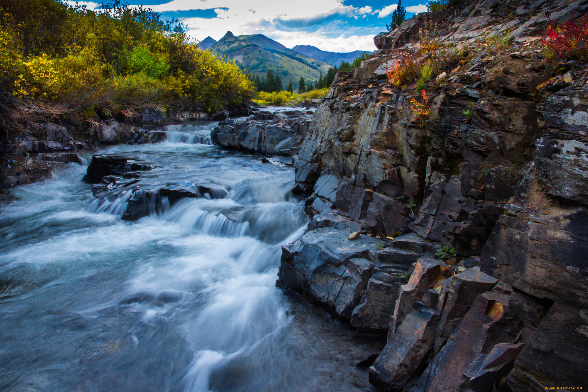 природа, реки, озера, река, лес