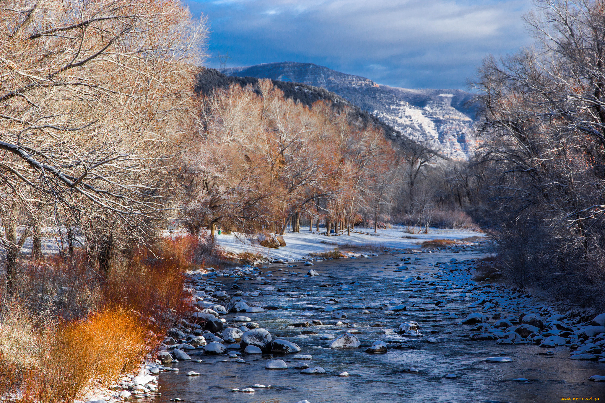 природа, реки, озера, река, лес