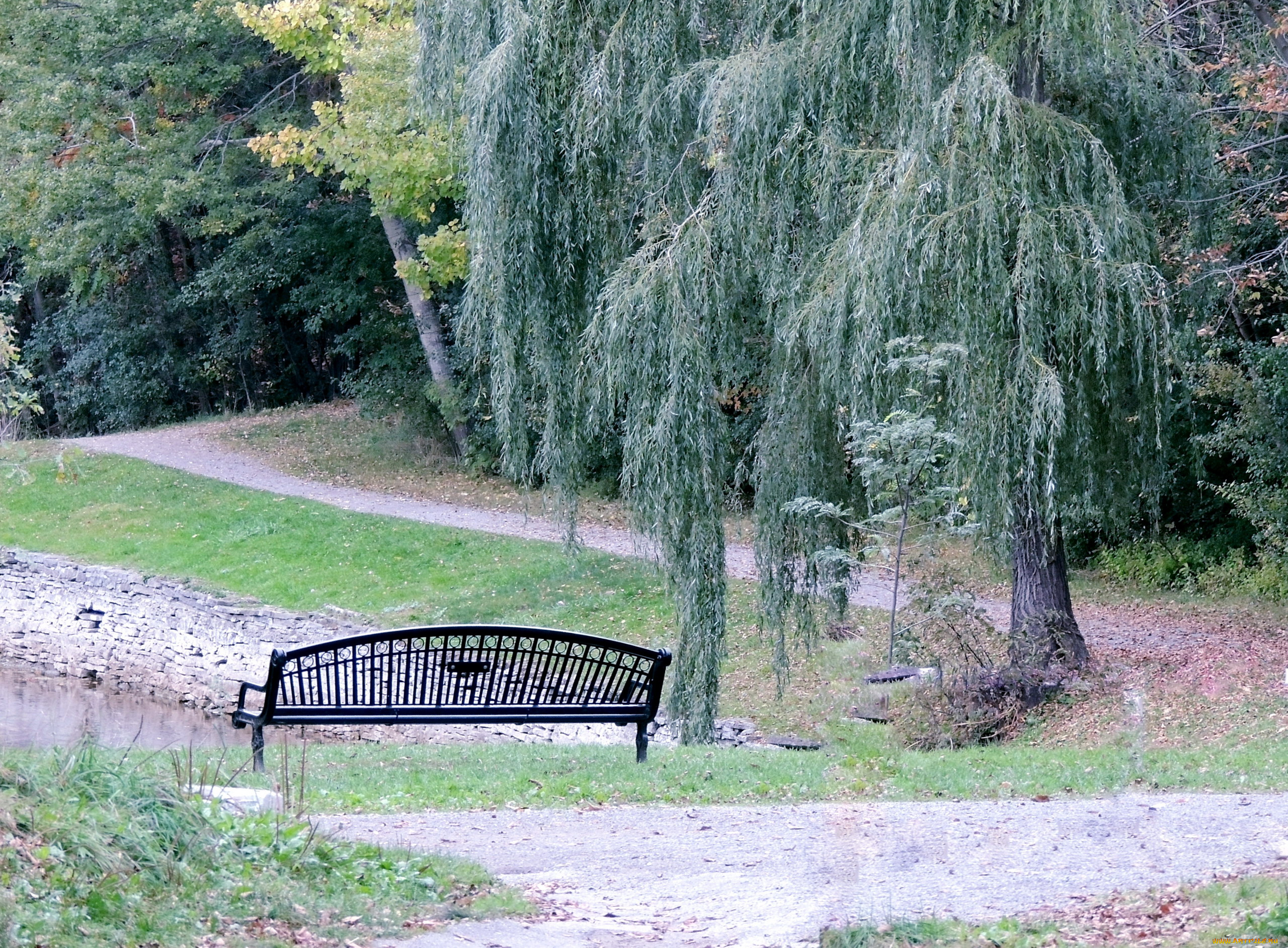 природа, парк, скамейка, деревья, аллея