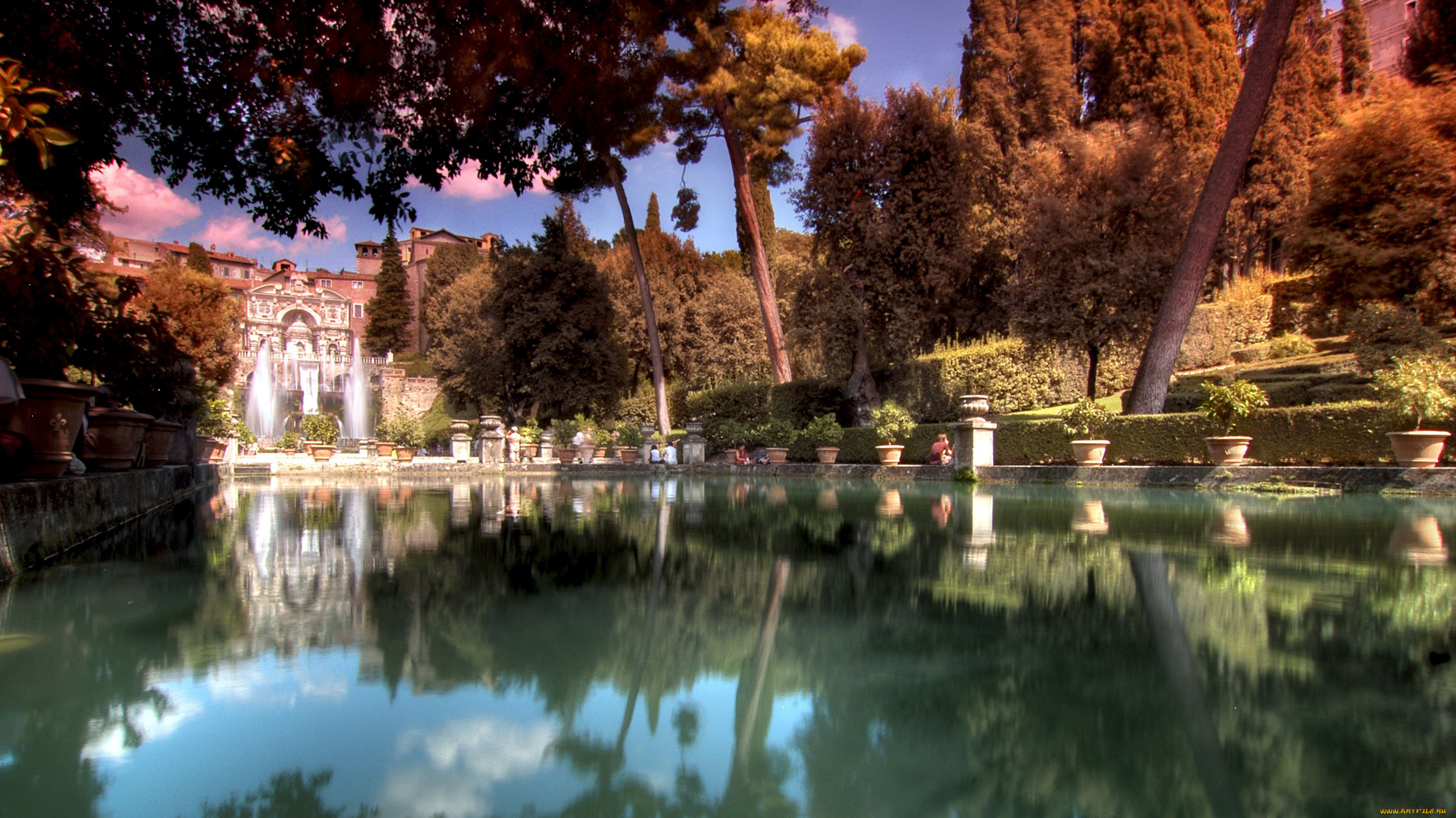 природа, парк, отражение, деревья, водоем