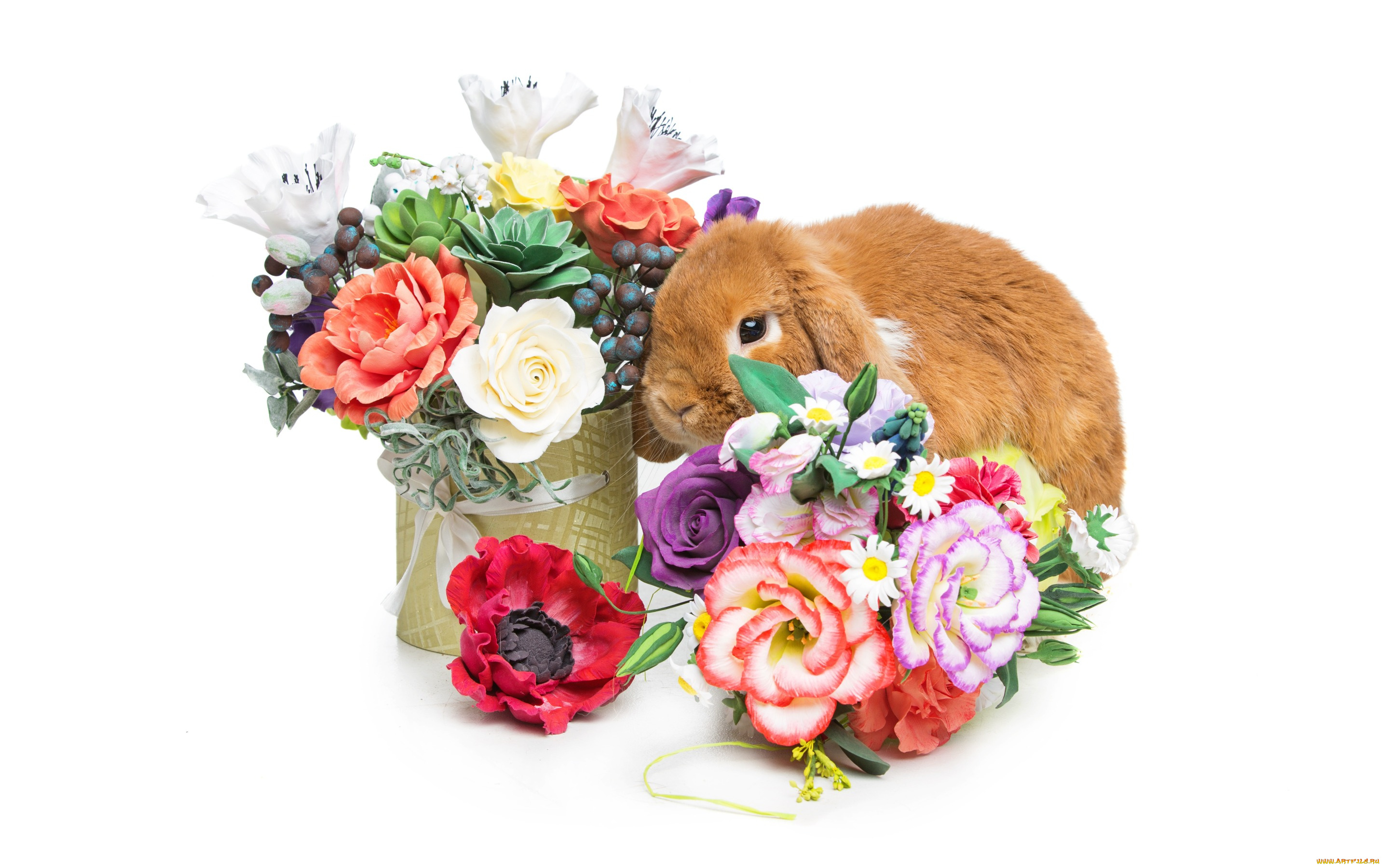 животные, кролики, , зайцы, цветы, flowers, spring, eggs, кролик, happy, rabbit