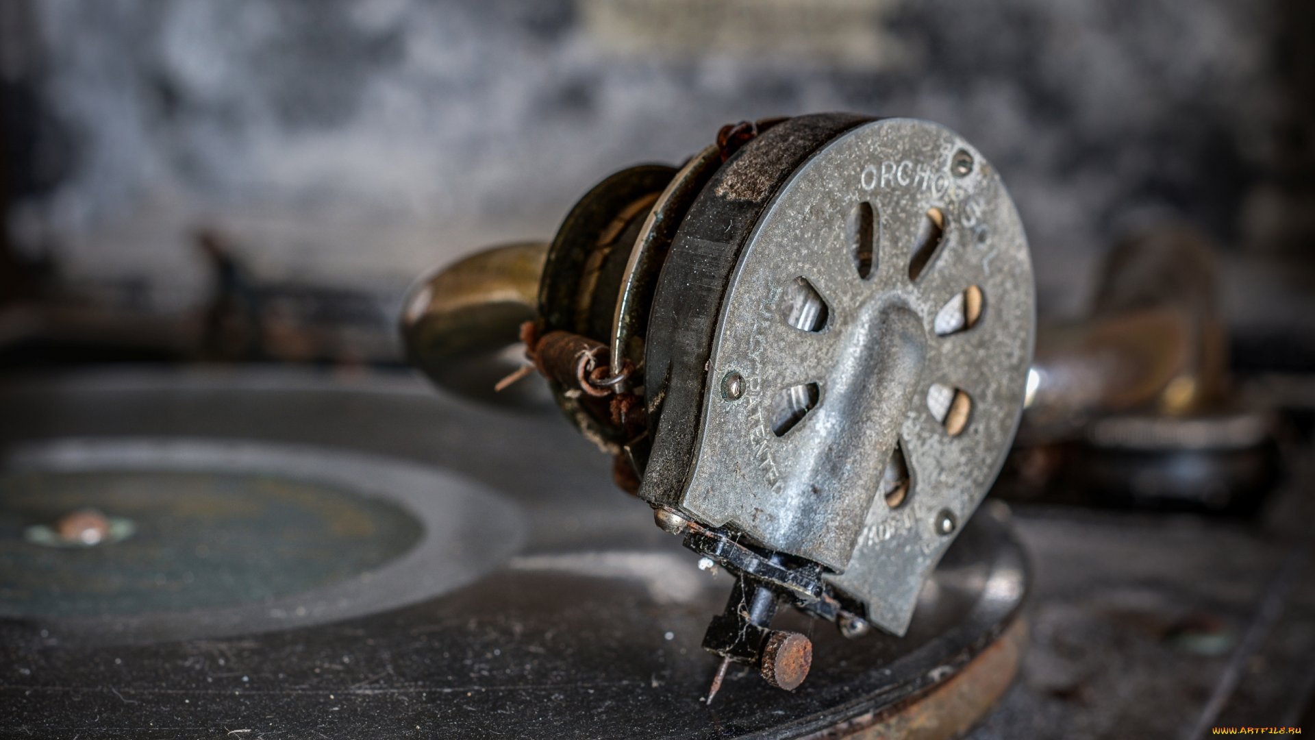 музыка, -другое, пластинка, проигрыватель