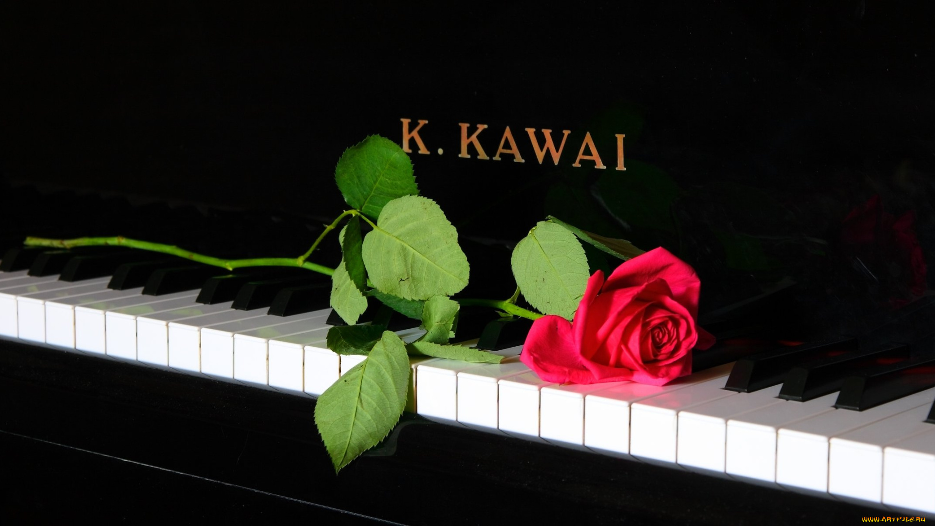 музыка, -музыкальные, инструменты, клавиши, роза, цветок, пианино