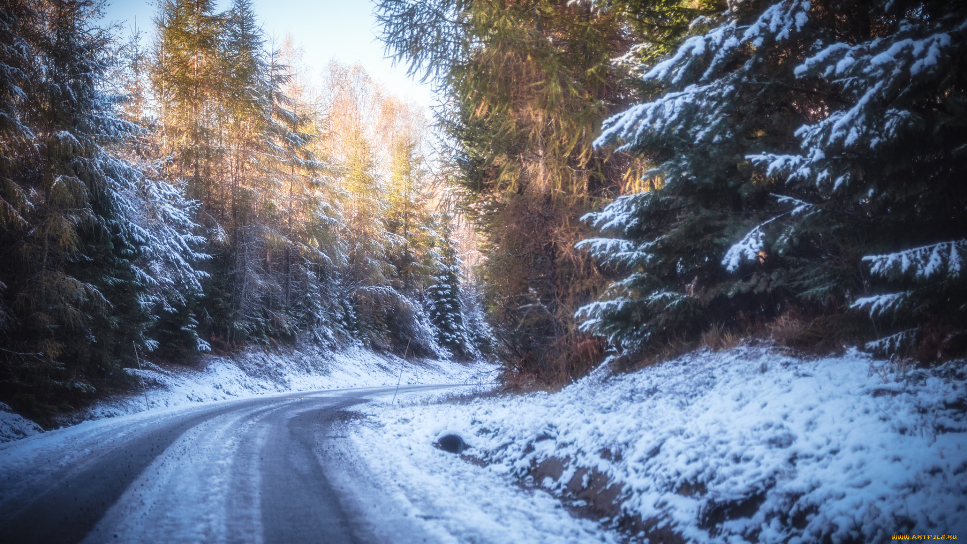 природа, дороги, простор