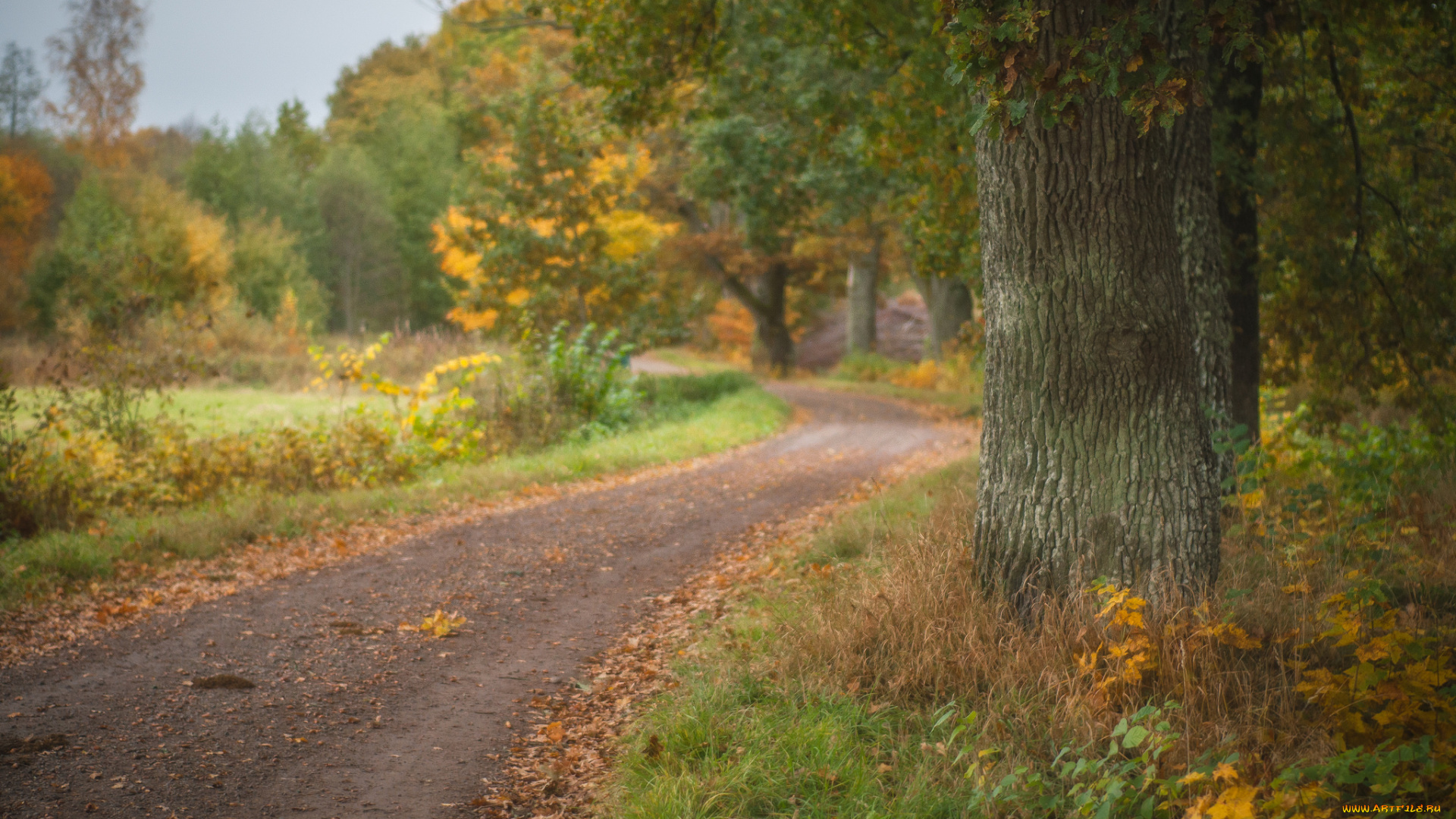 природа, дороги, простор