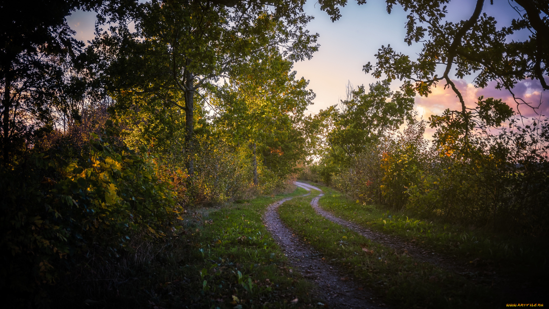 природа, дороги, простор