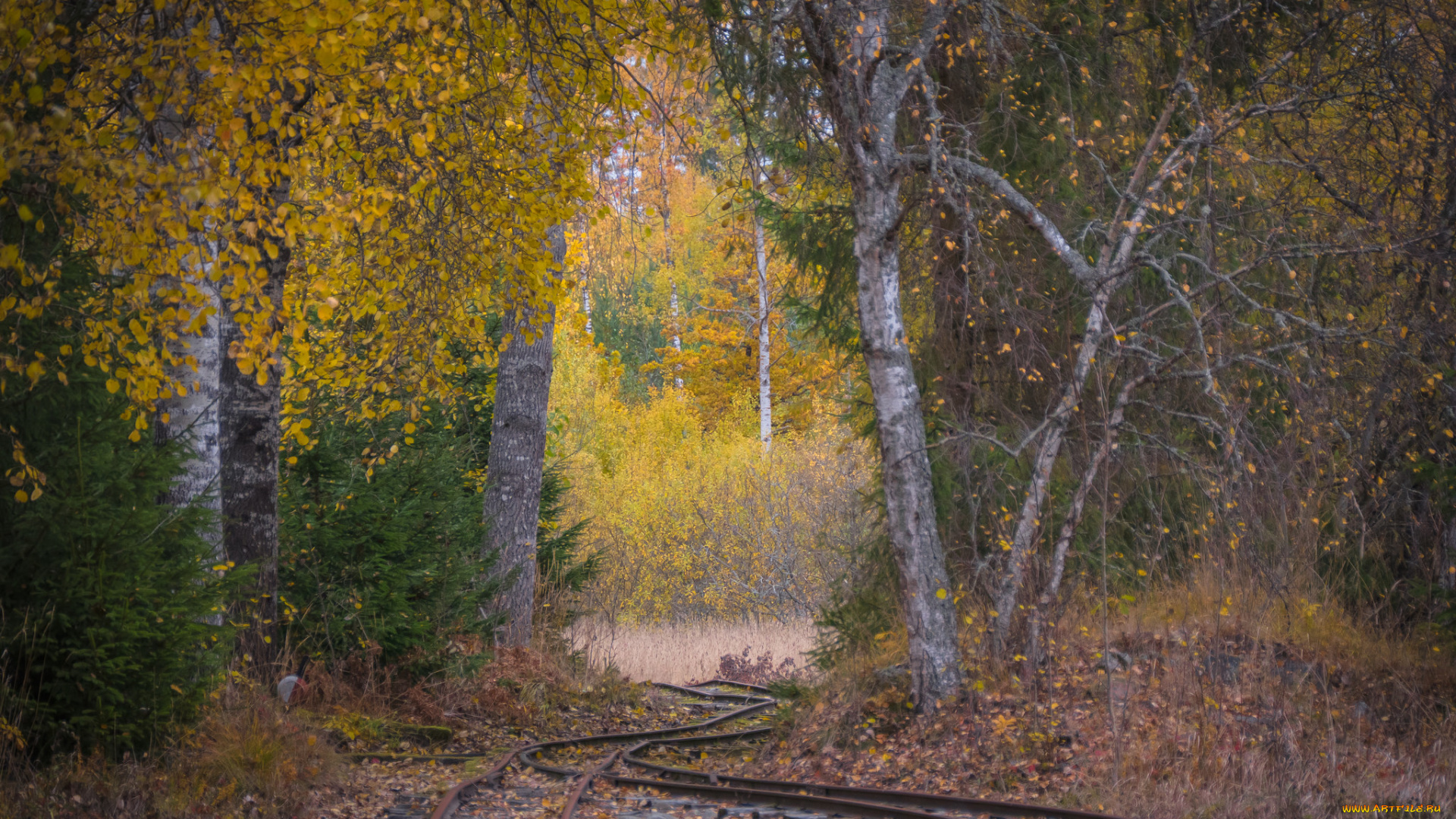 природа, дороги, простор