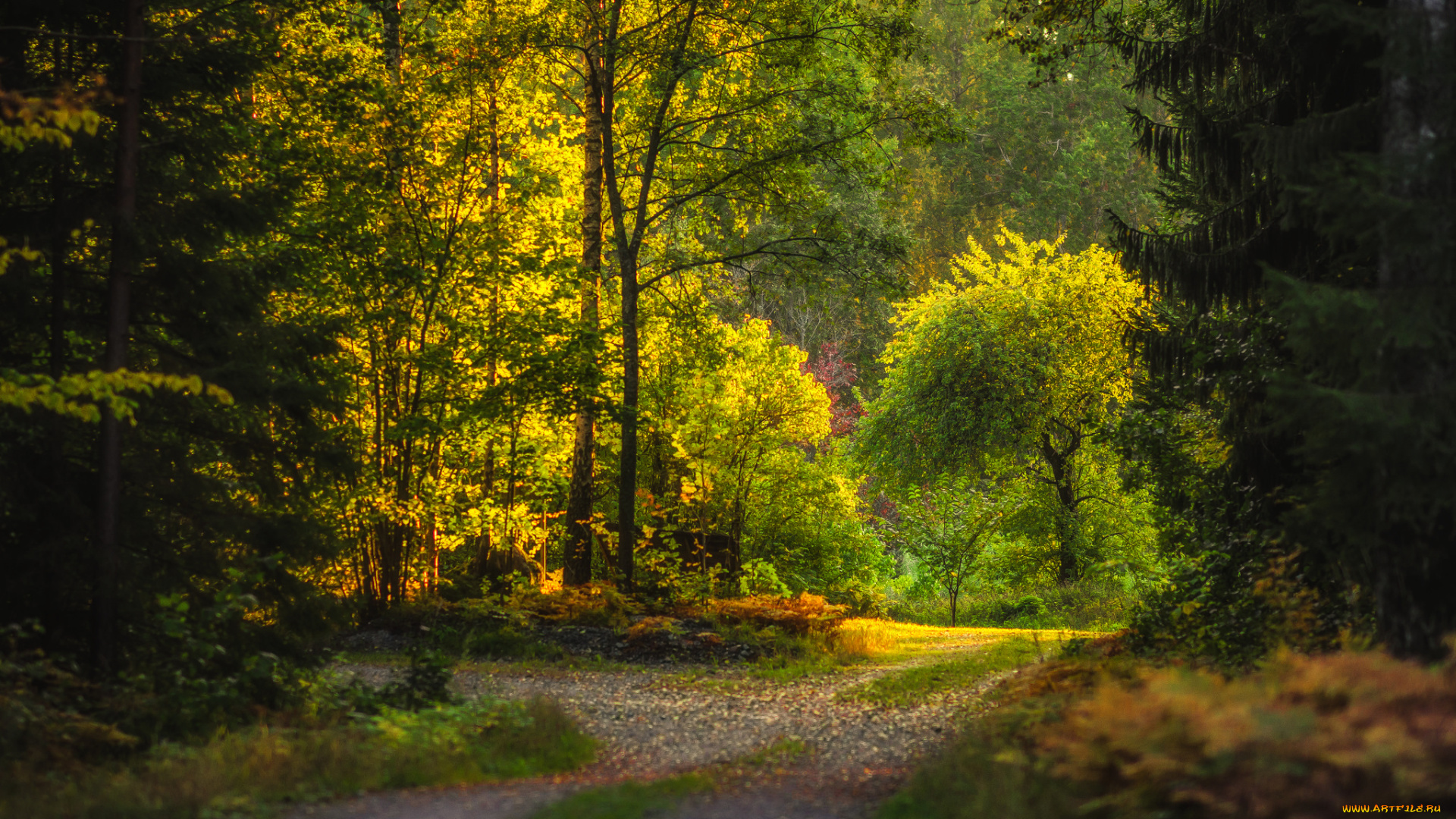 природа, дороги, простор