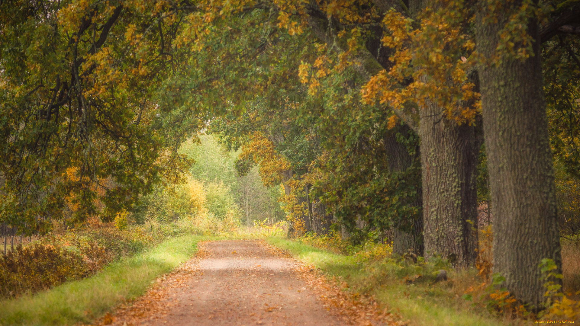 природа, дороги, простор