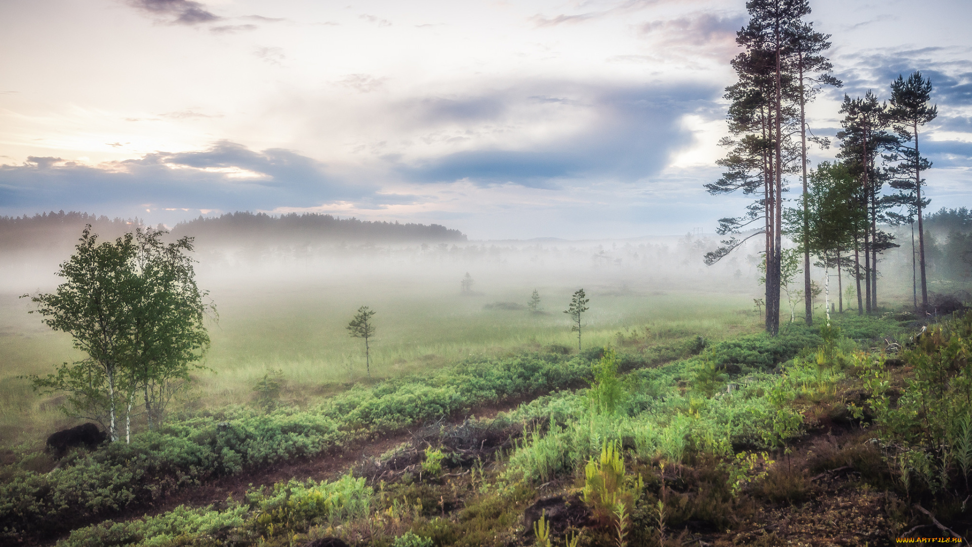 природа, пейзажи, простор
