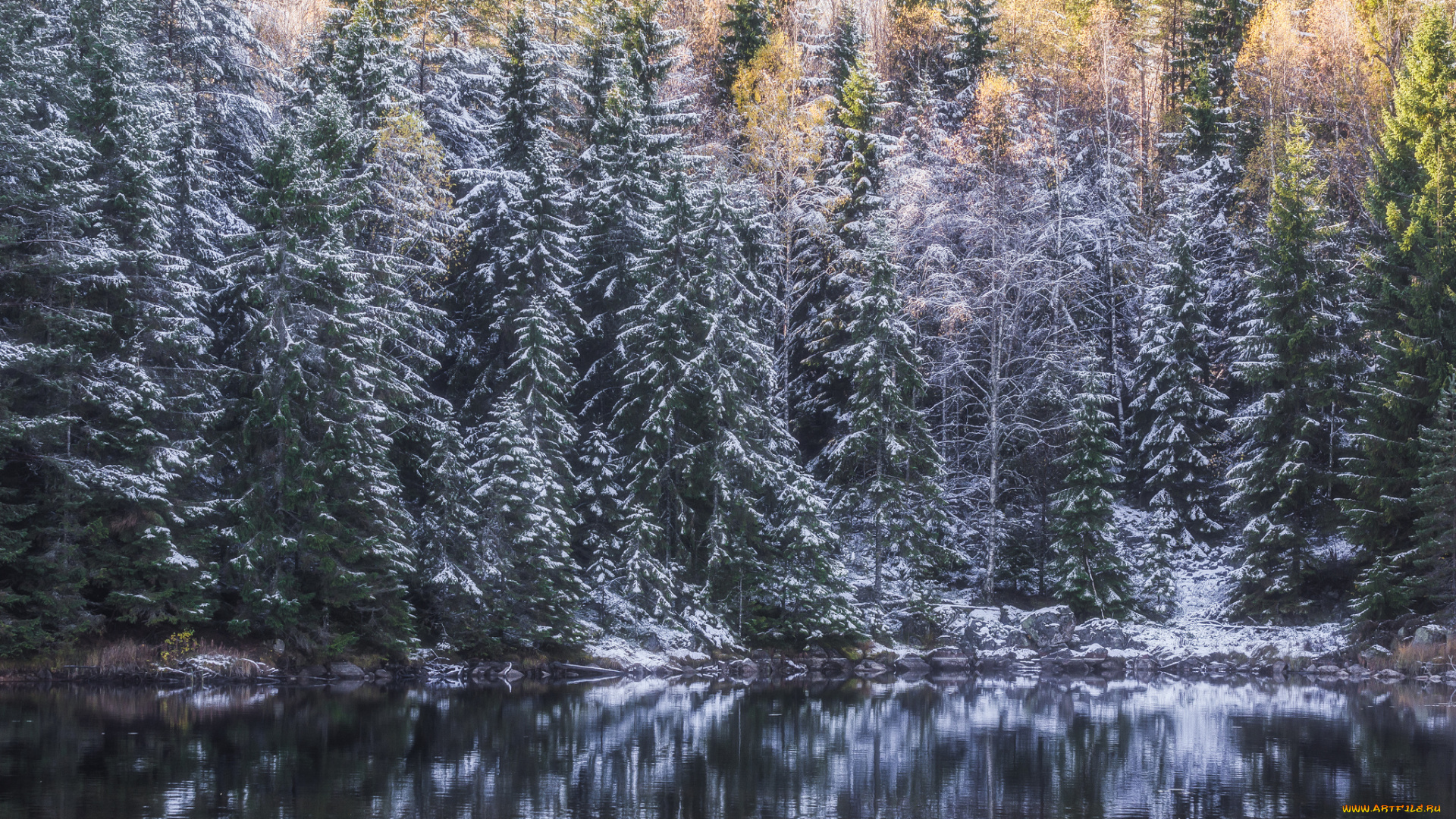 природа, реки, озера, простор