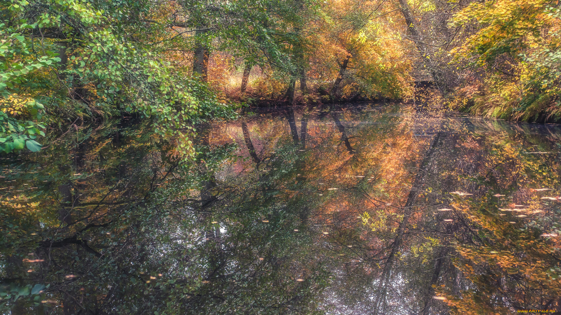 природа, реки, озера, простор