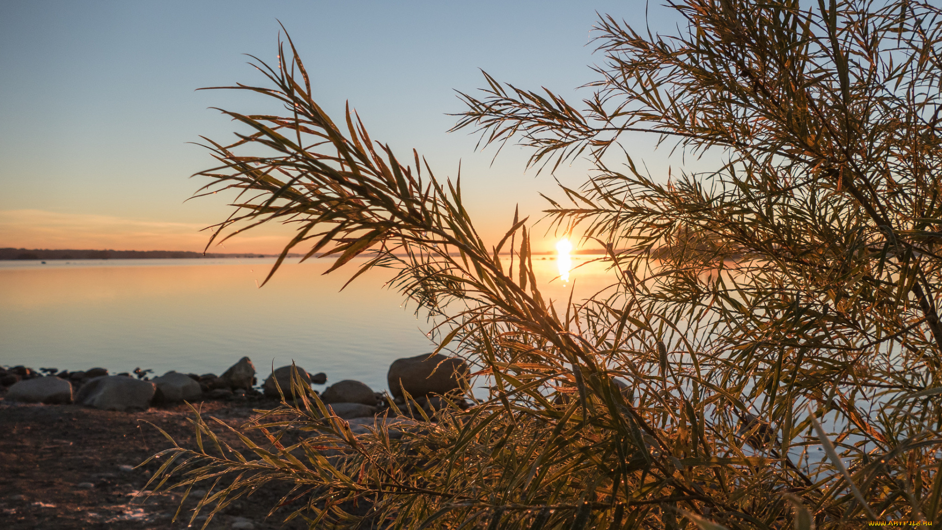 природа, реки, озера, простор