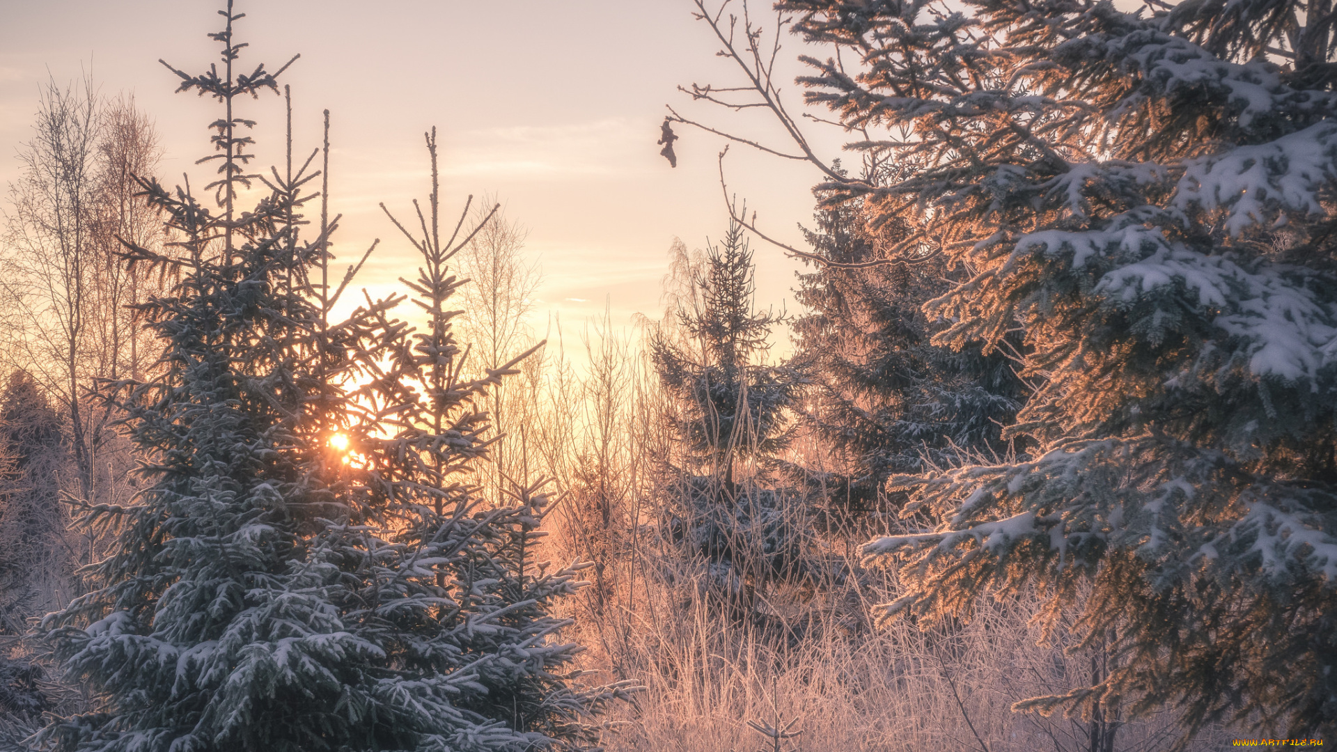 природа, зима, простор