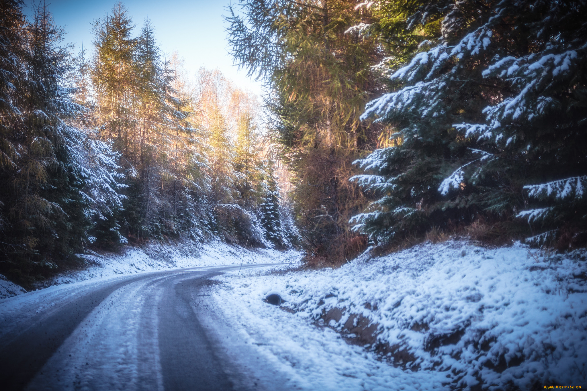 природа, дороги, простор