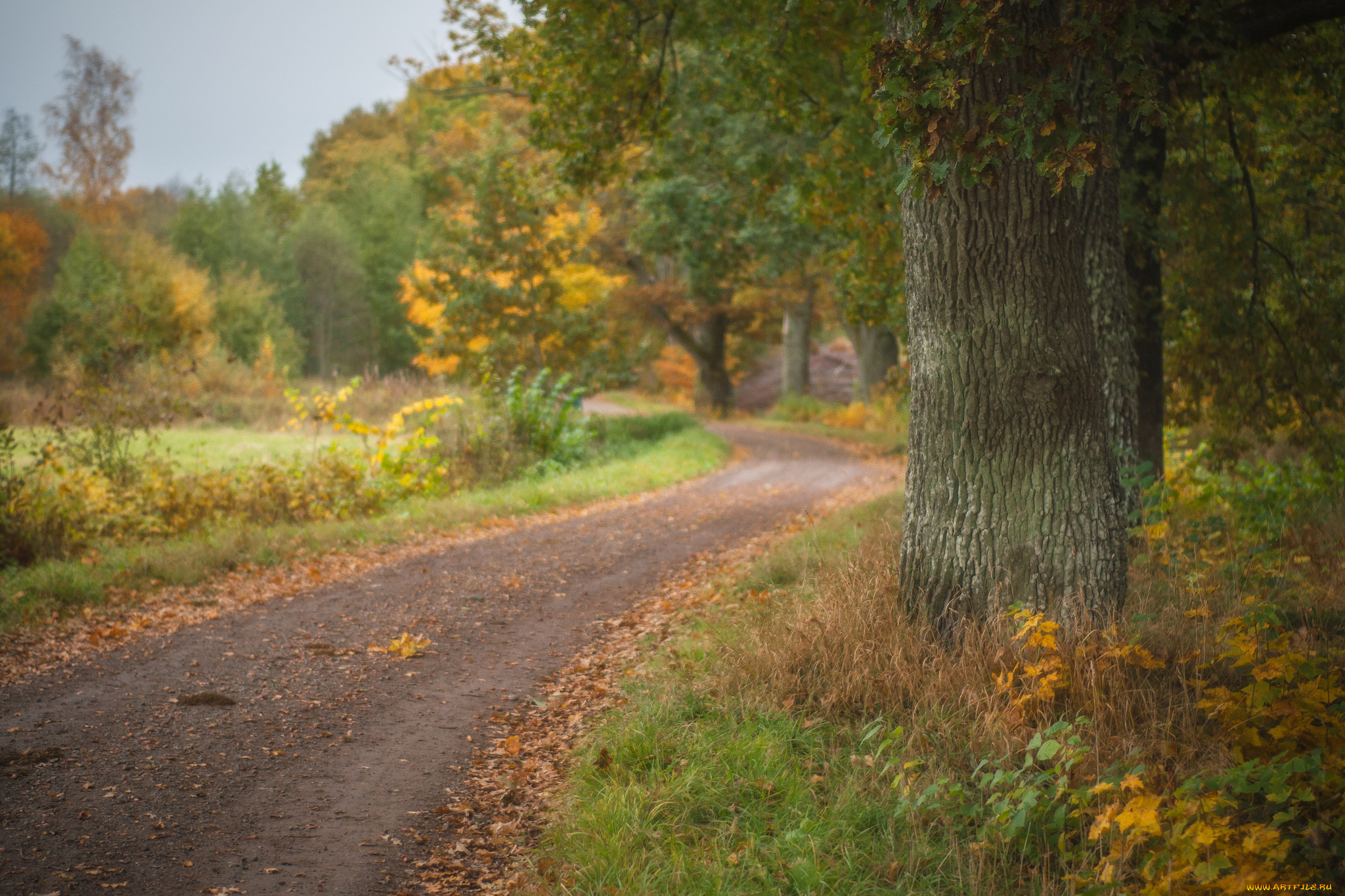 природа, дороги, простор