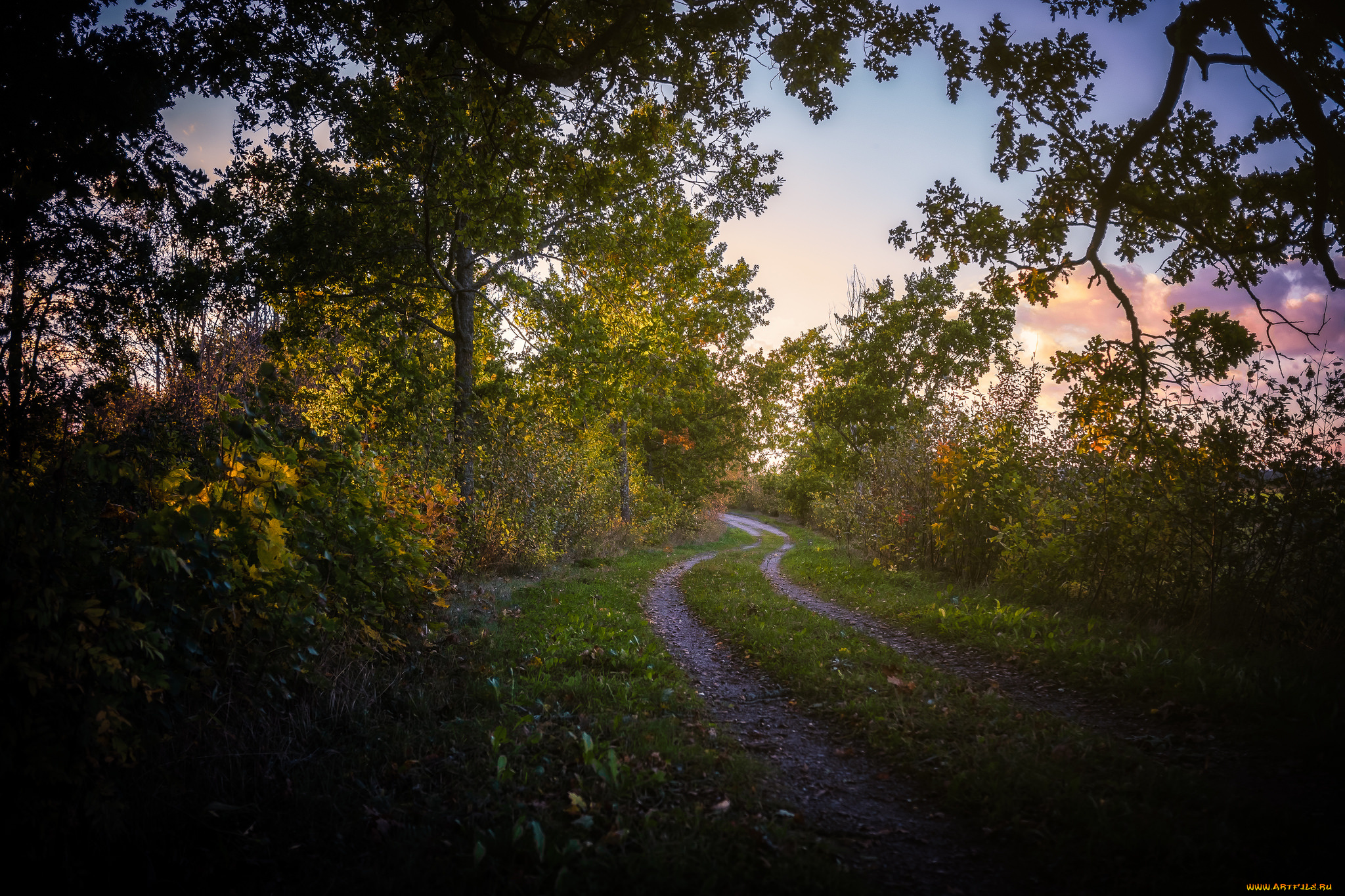 природа, дороги, простор