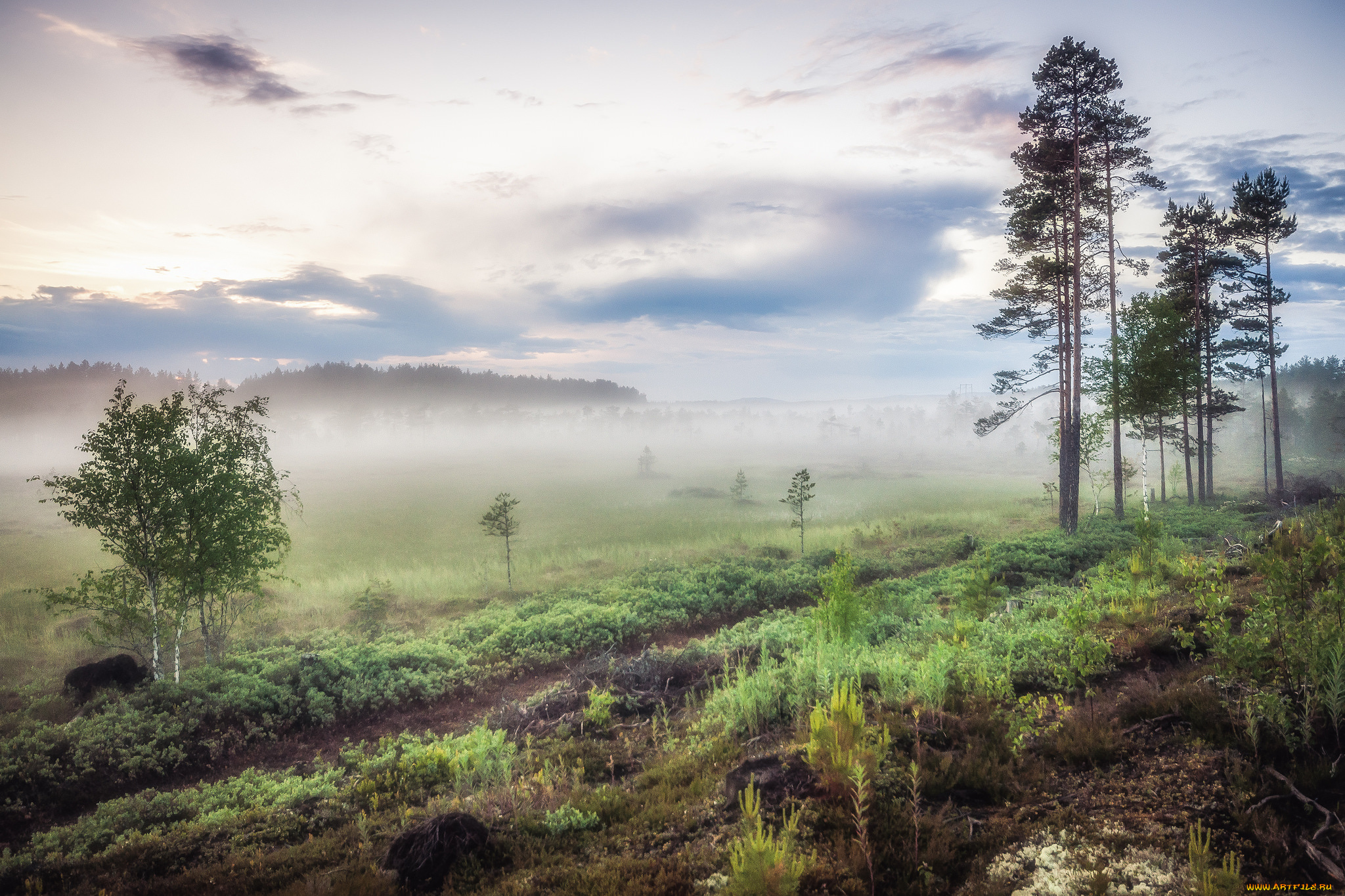 природа, пейзажи, простор