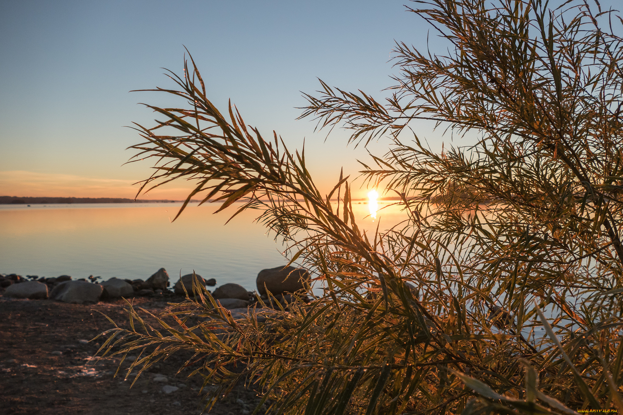 природа, реки, озера, простор