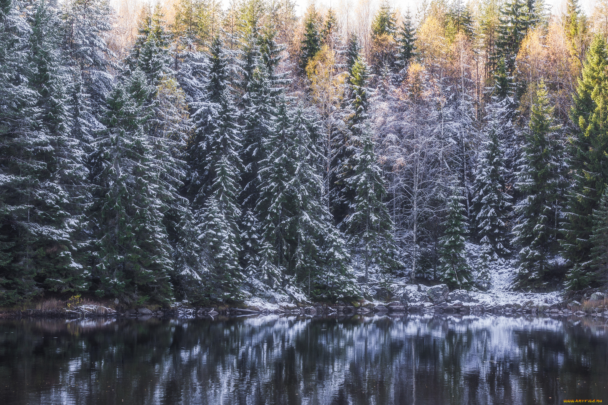 природа, реки, озера, простор