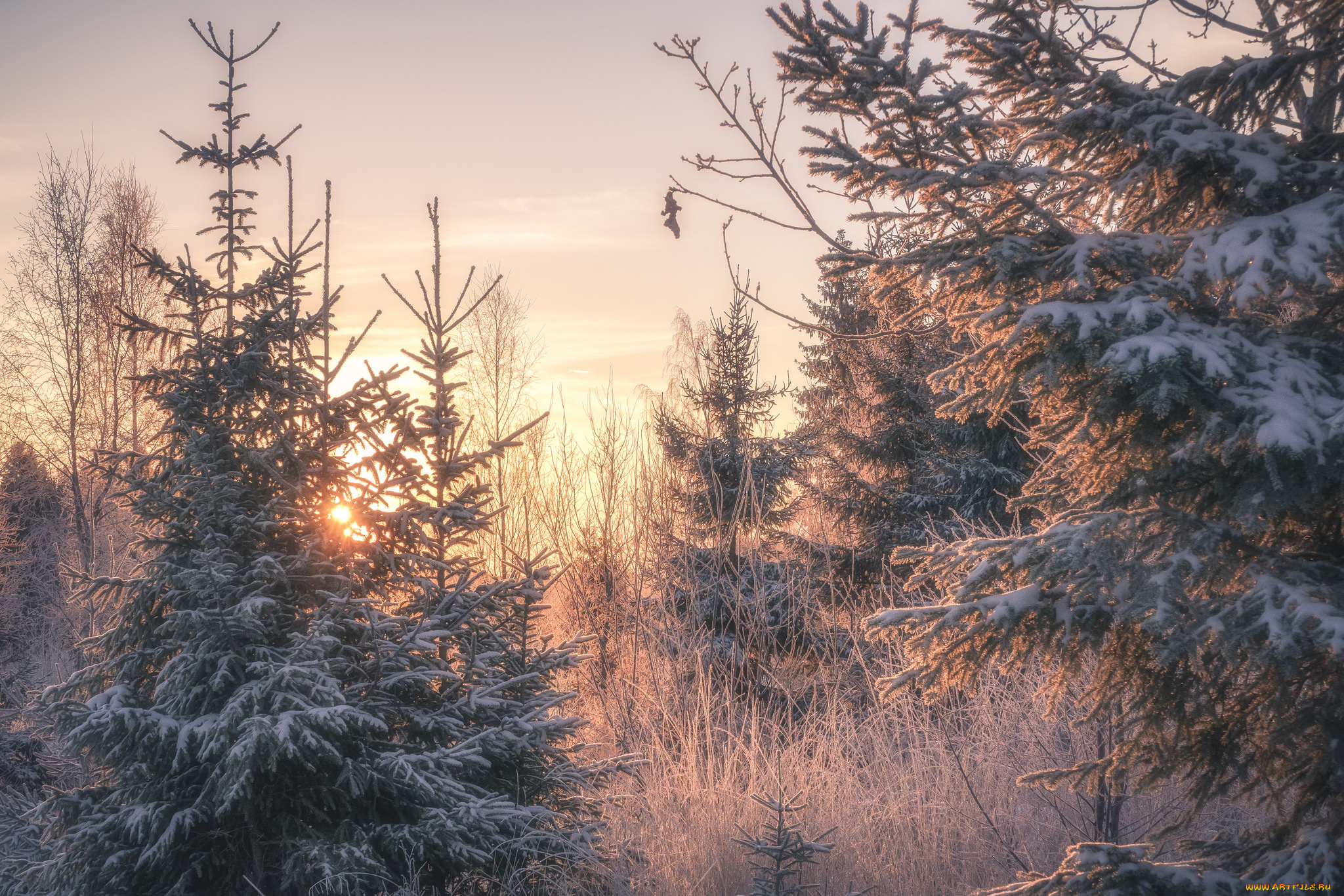 природа, зима, простор