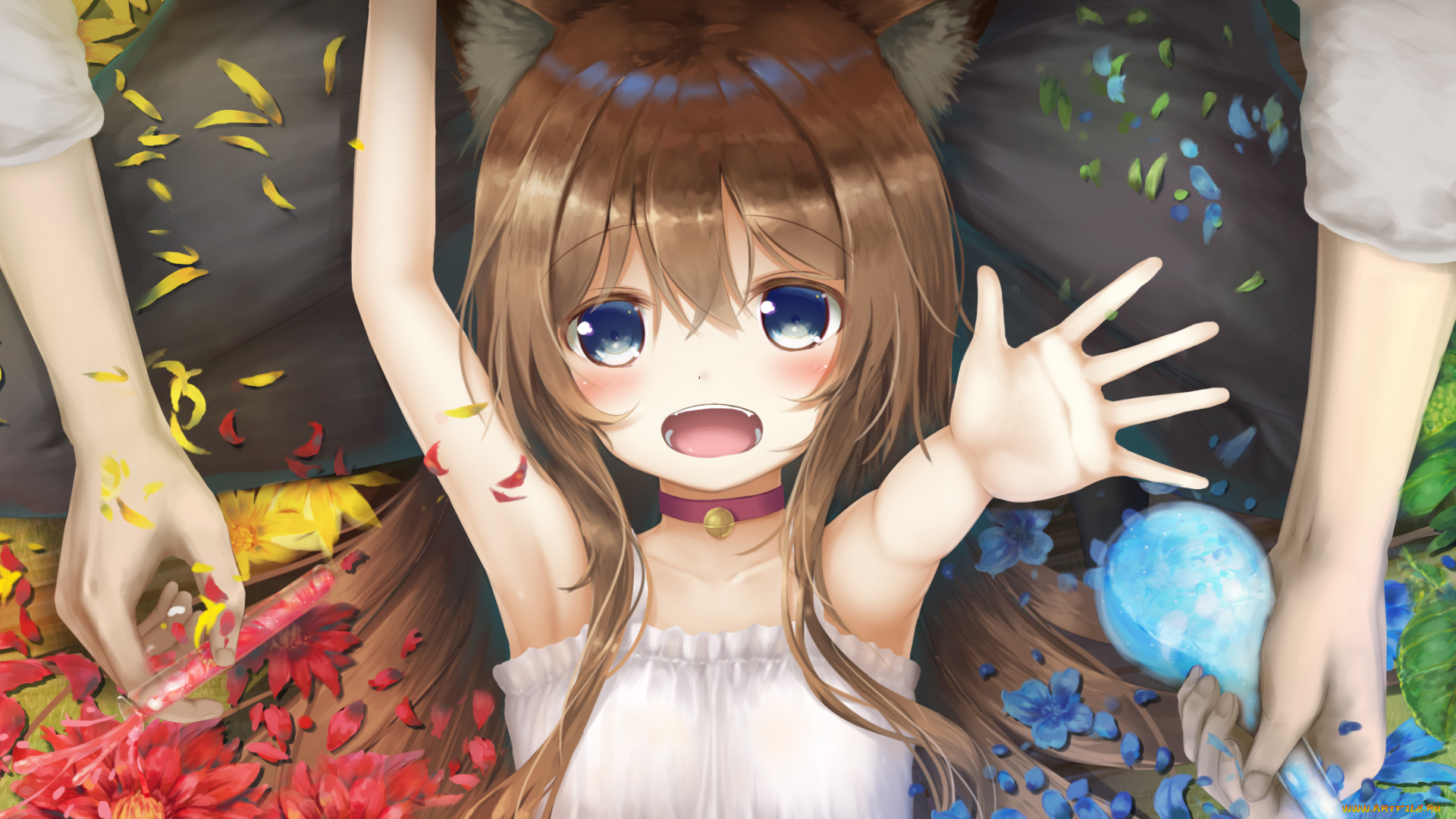 аниме, животные, , существа, фон, взгляд, девушка