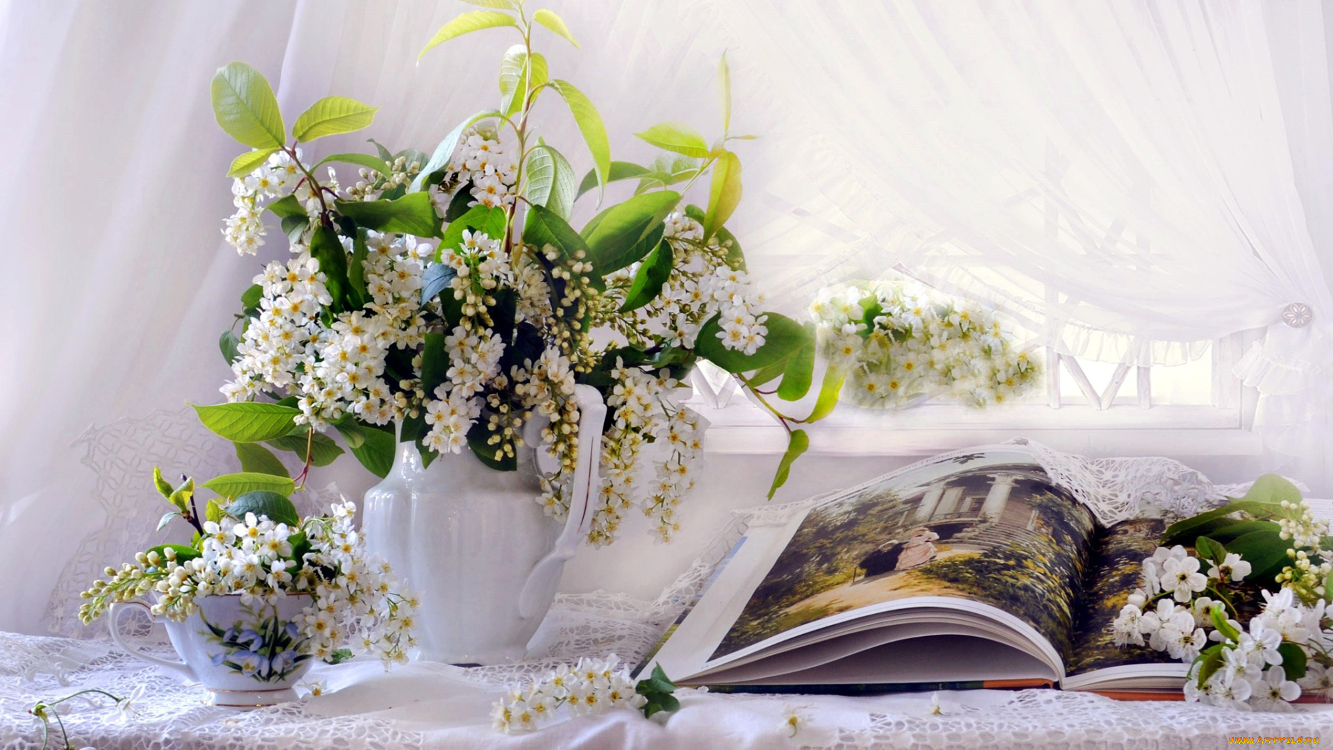 цветы, черемуха, книга, букет