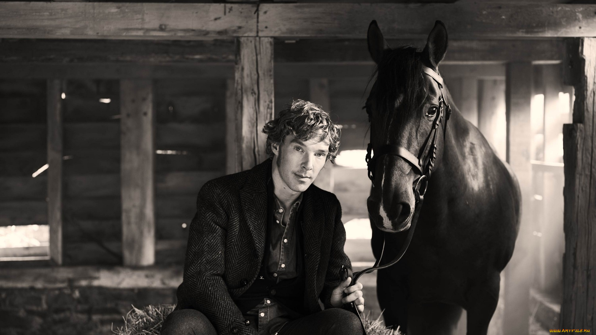 мужчины, benedict, cumberbatch, бенедикт, камбербэтч