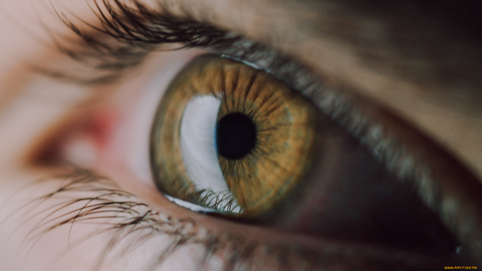 разное, глаза, зрачок