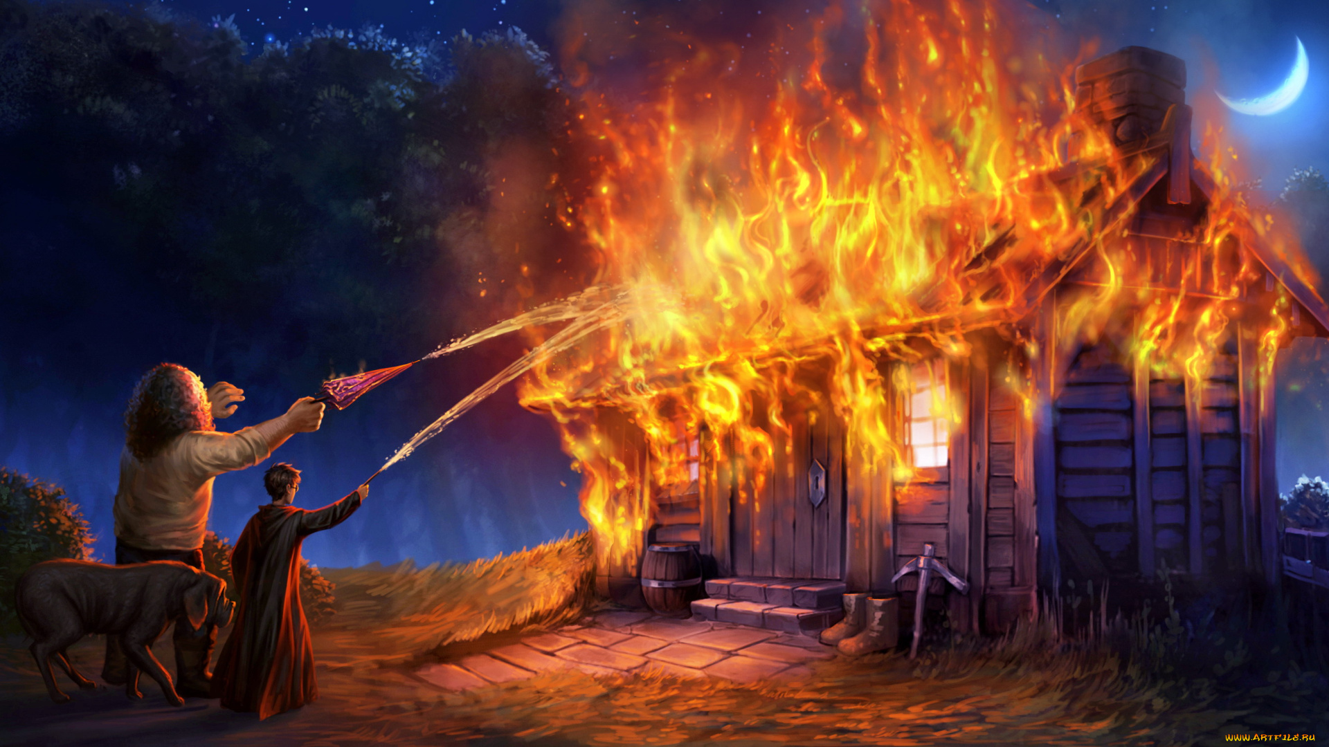 рисованное, кино, хижина, огонь, пожар, собака, хагрид, гаппи, поттер