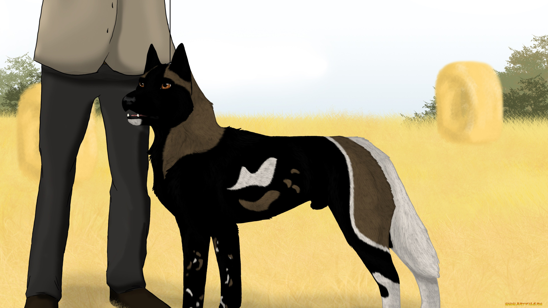 рисованное, животные, , собаки, собака