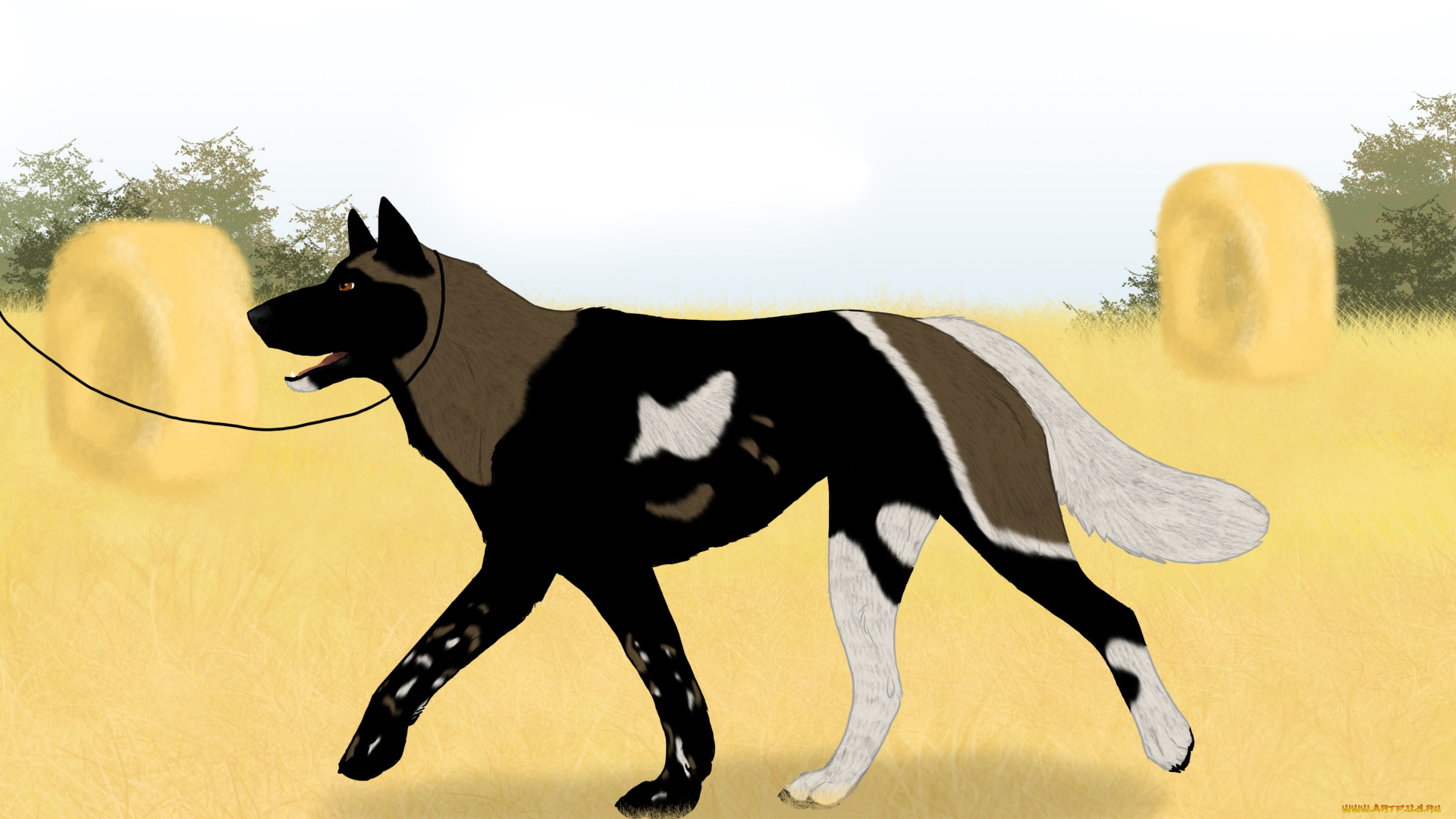 рисованное, животные, , собаки, собака