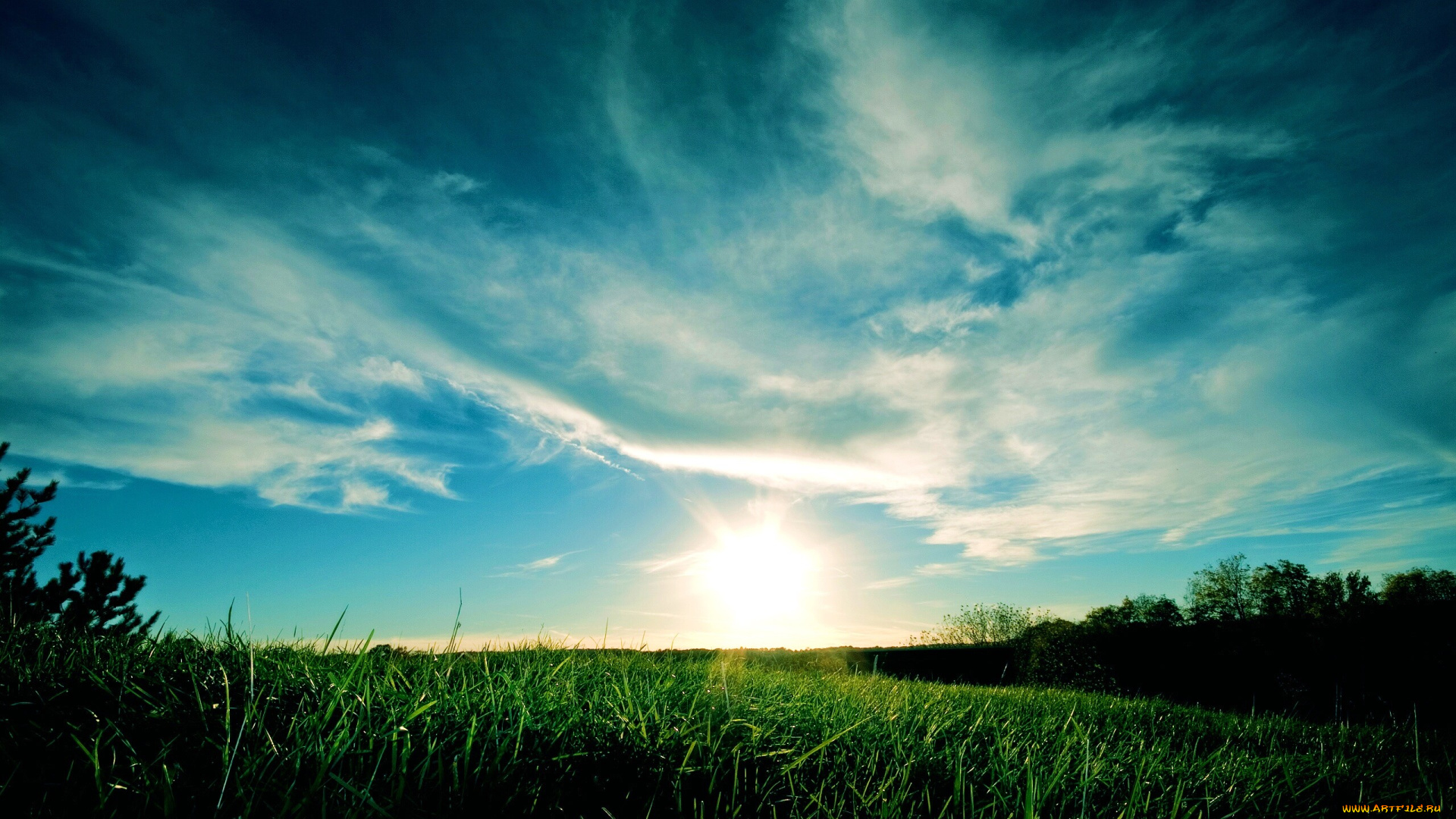 природа, луга, небо, облака, трава, утро