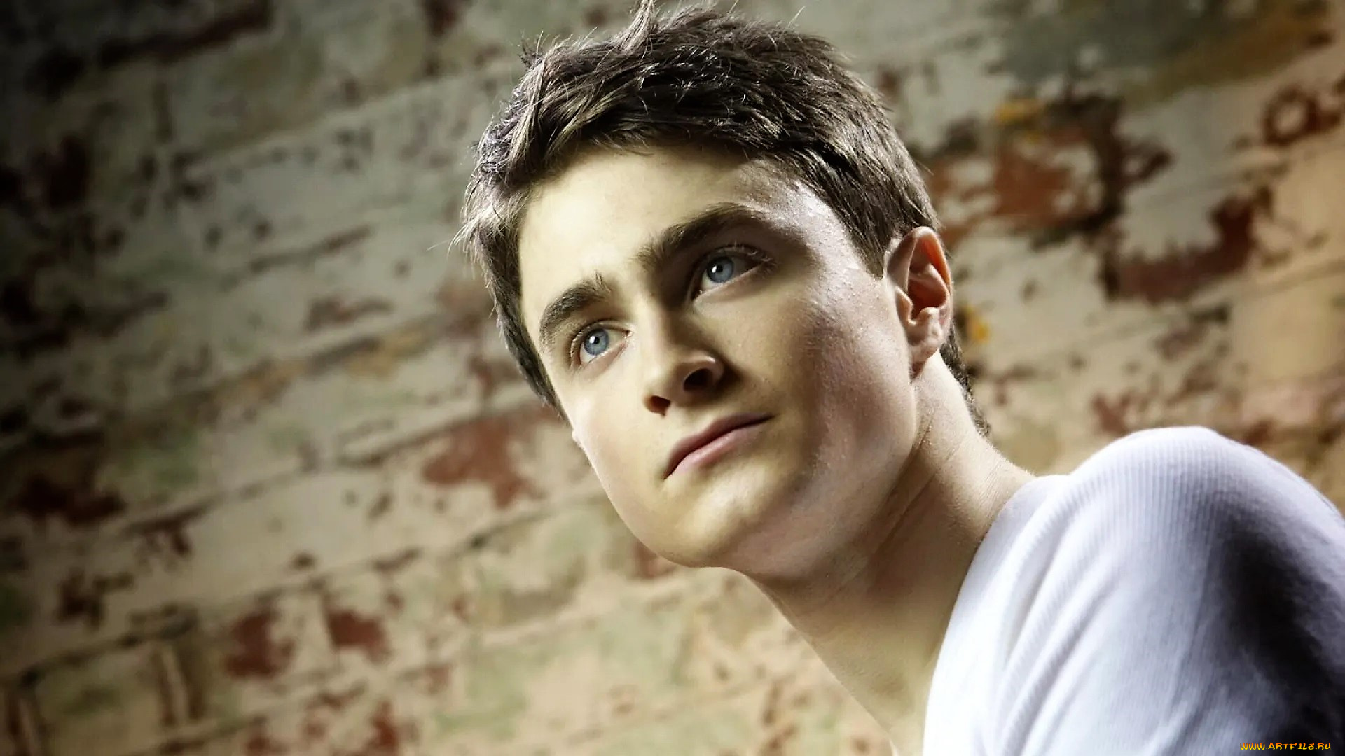 мужчины, daniel, radcliffe, актер, лицо, стена