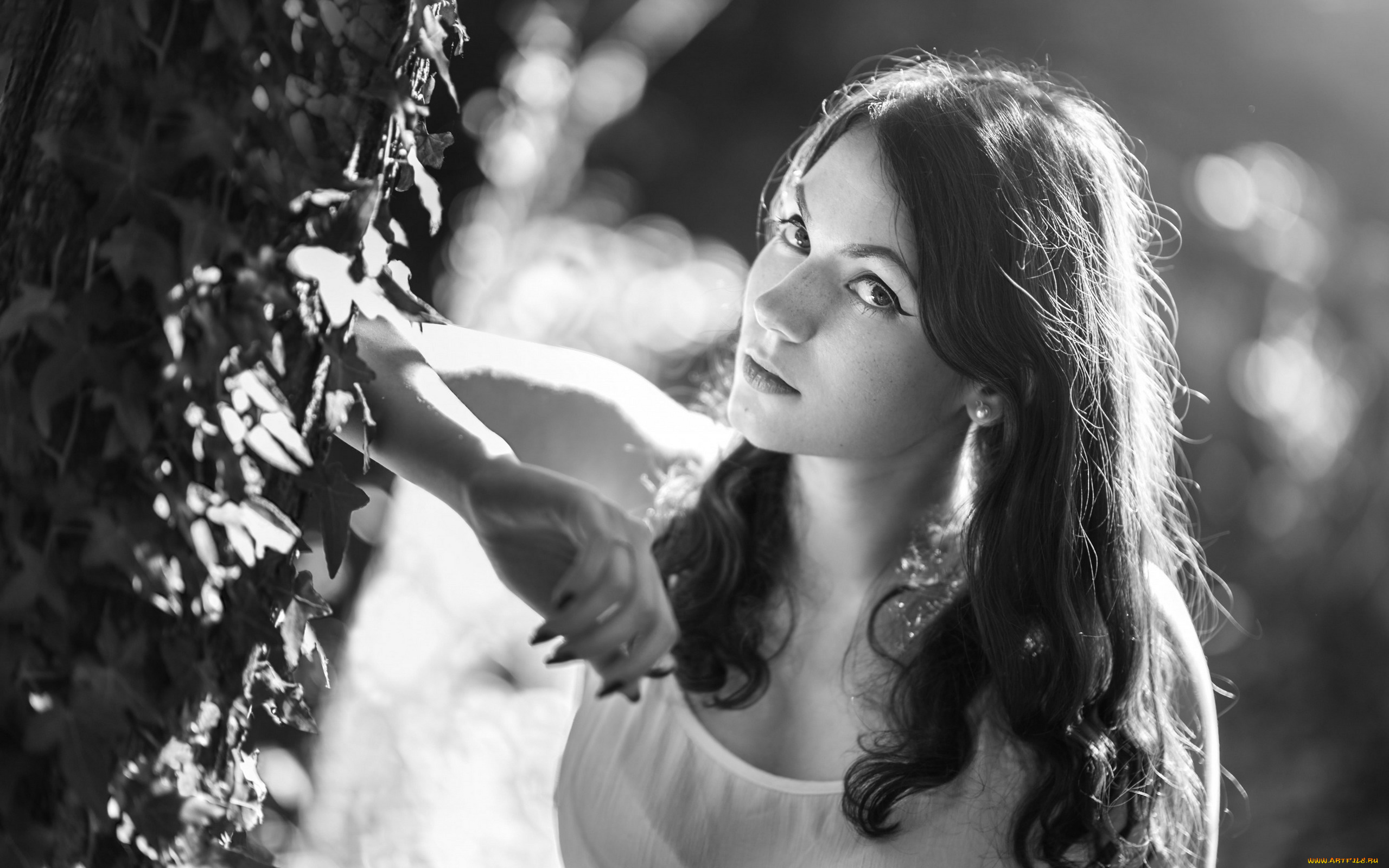 девушки, -, черно-белые, монохром