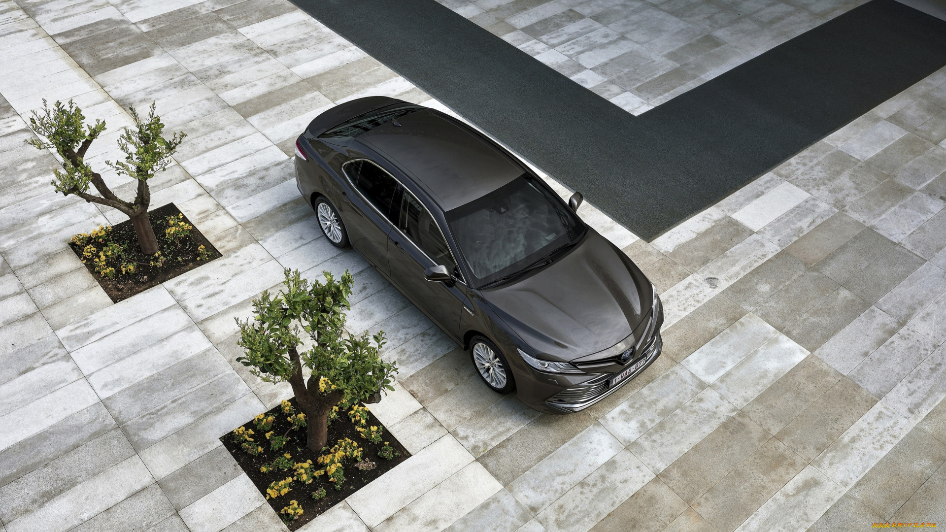 автомобили, toyota, машина