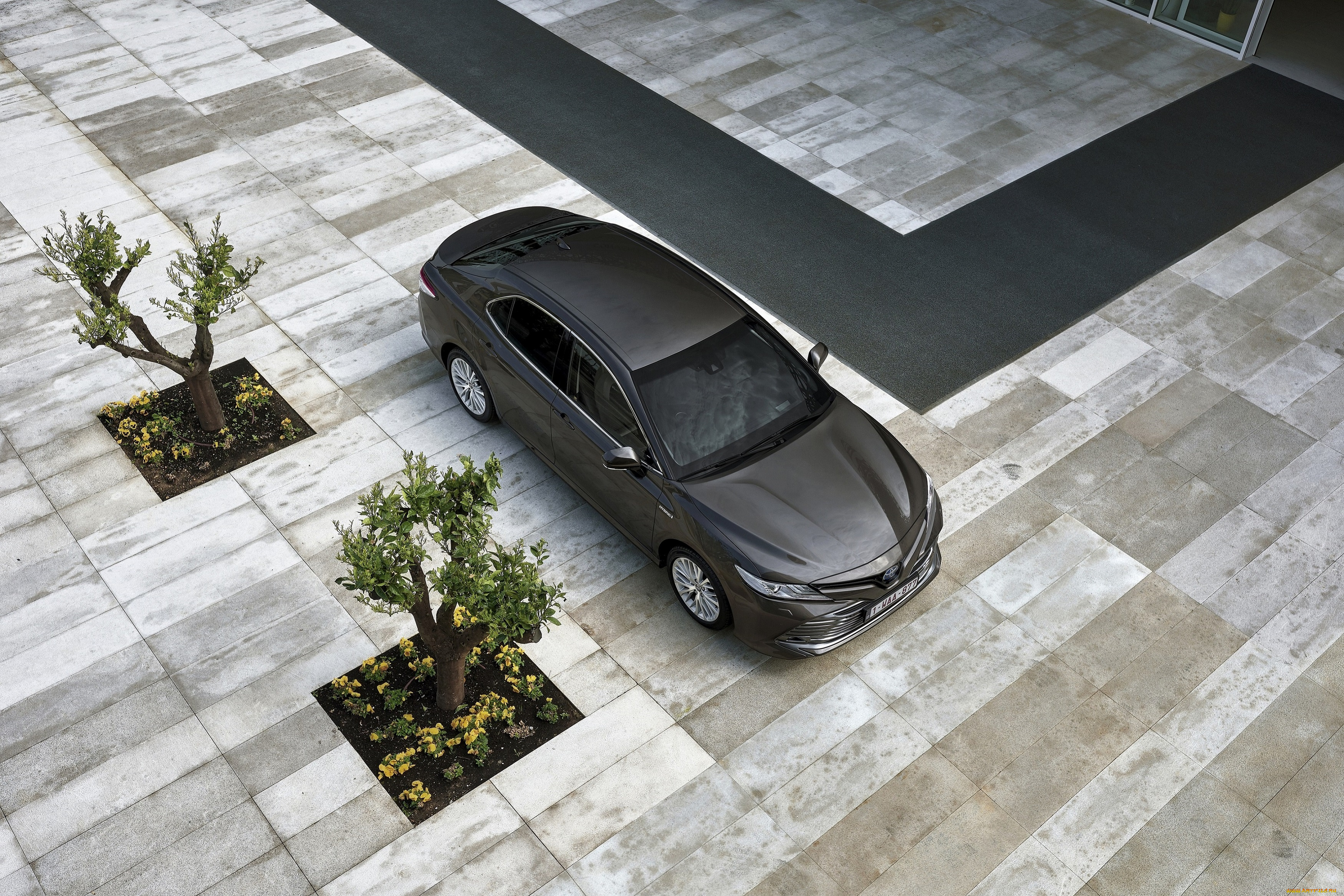 автомобили, toyota, машина