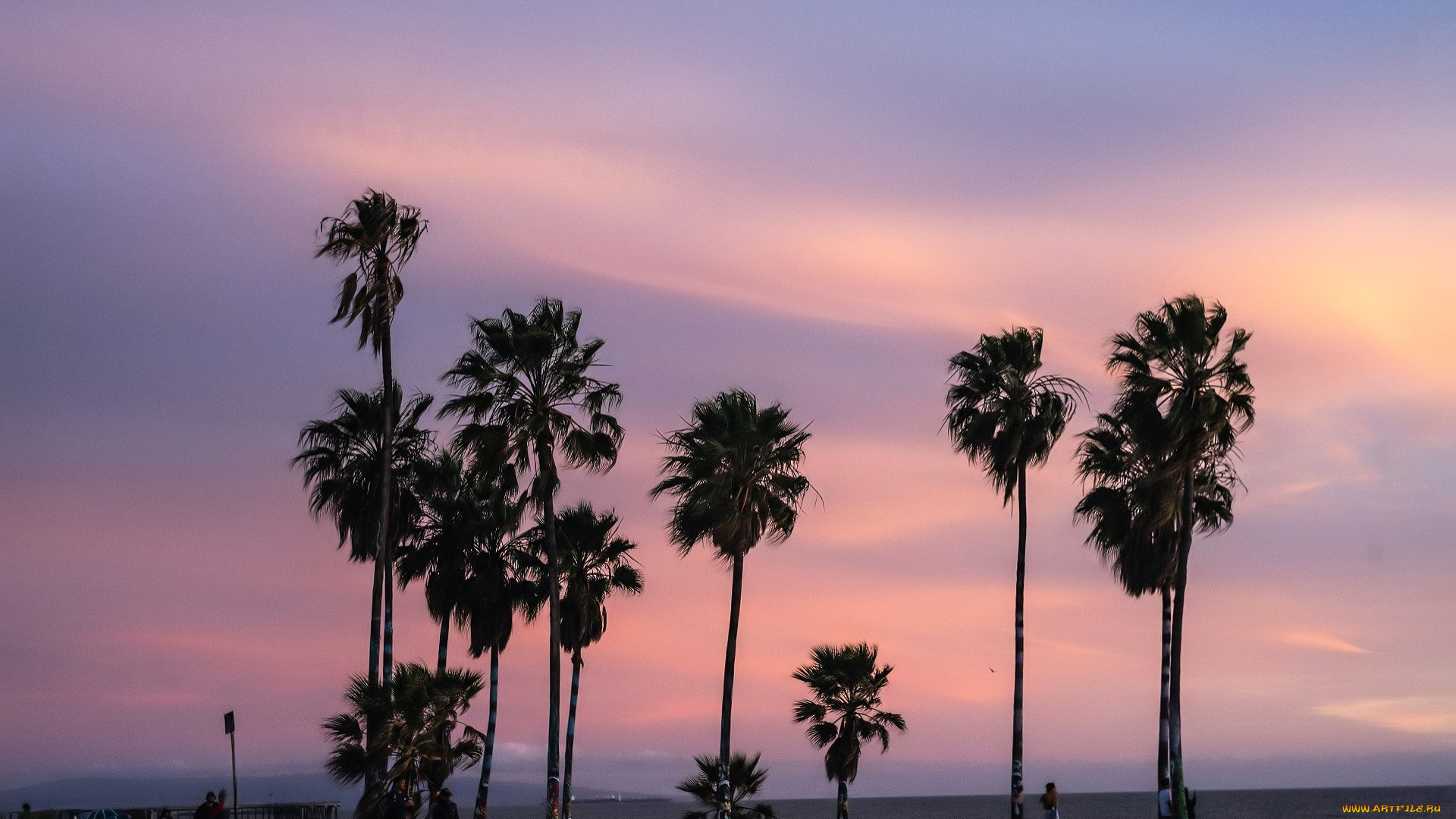 природа, тропики, пальмы, закат, море, люди