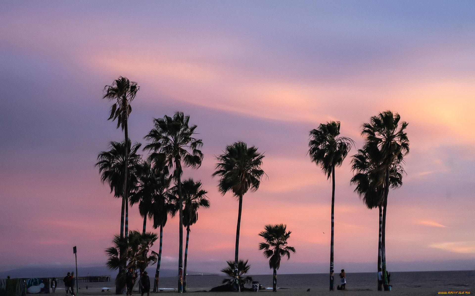 природа, тропики, пальмы, закат, море, люди