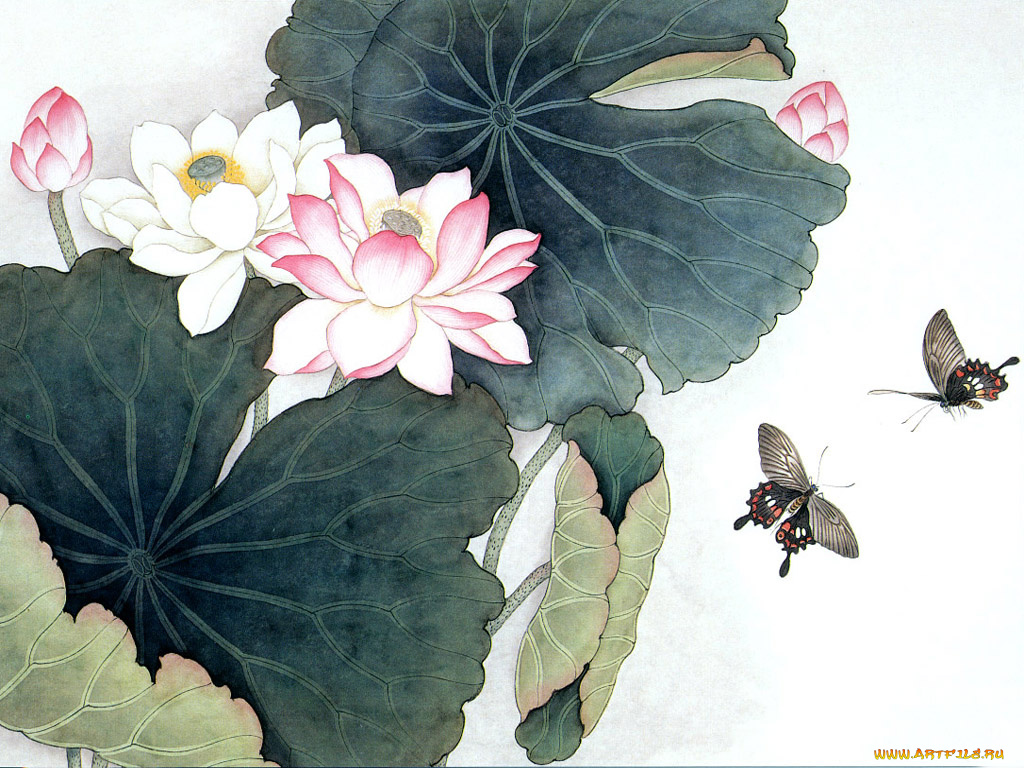 32, рисованные, цветы