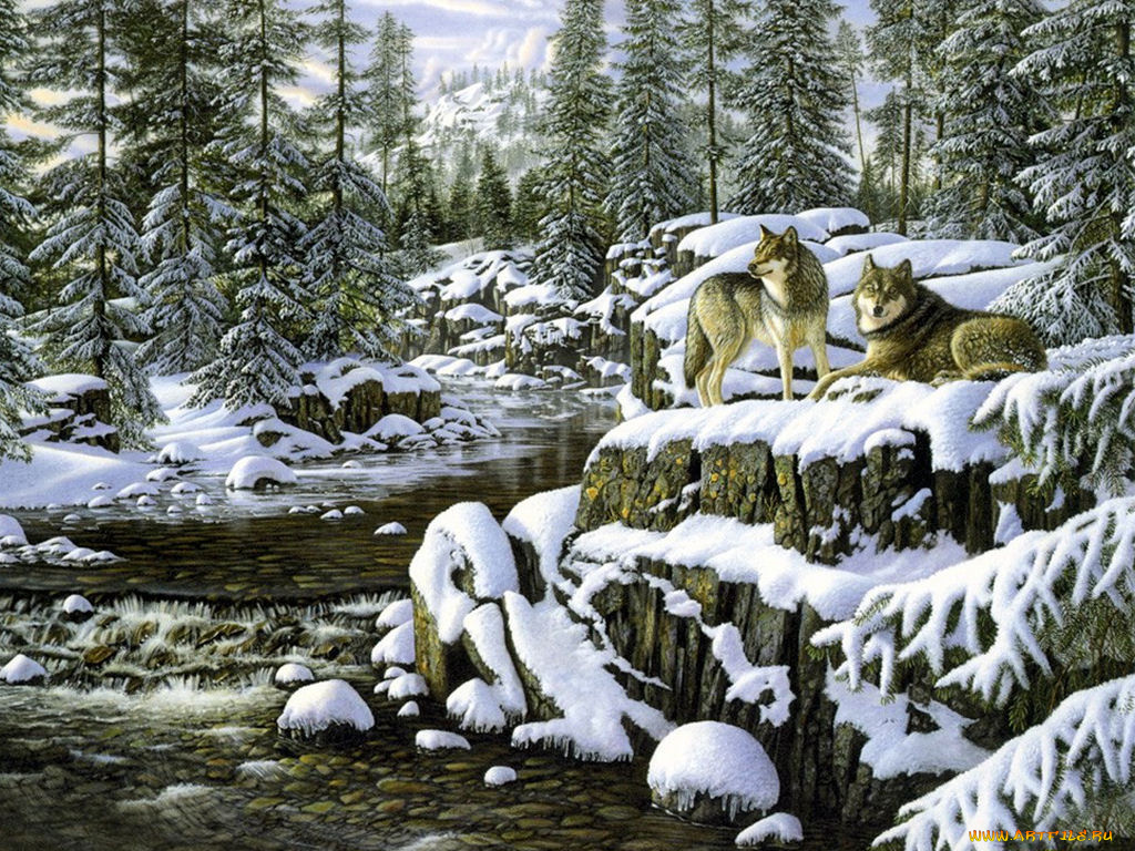 рисованные, животные, волки